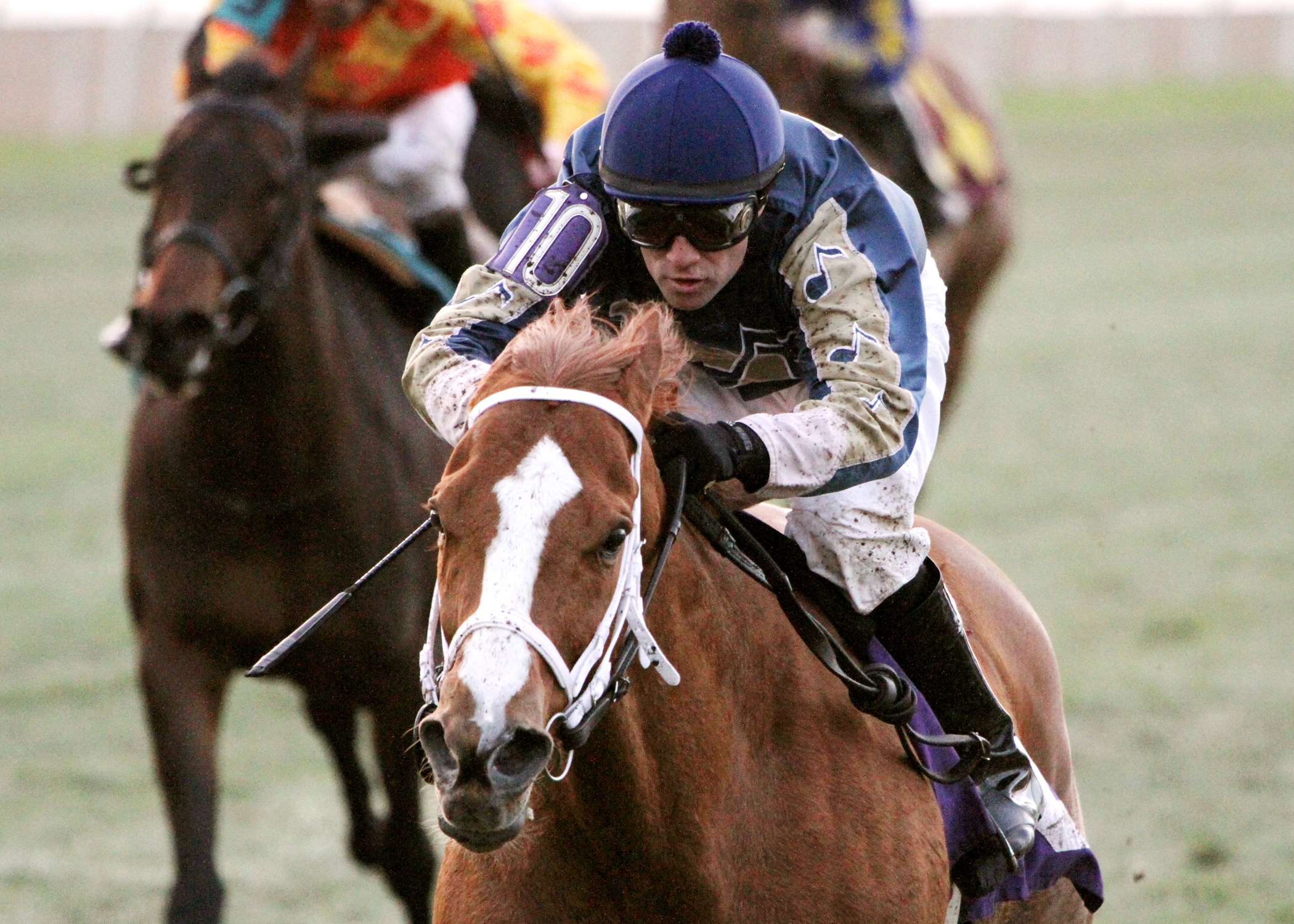 Seeking Ms Shelley wins the Pan Zareta Stakes