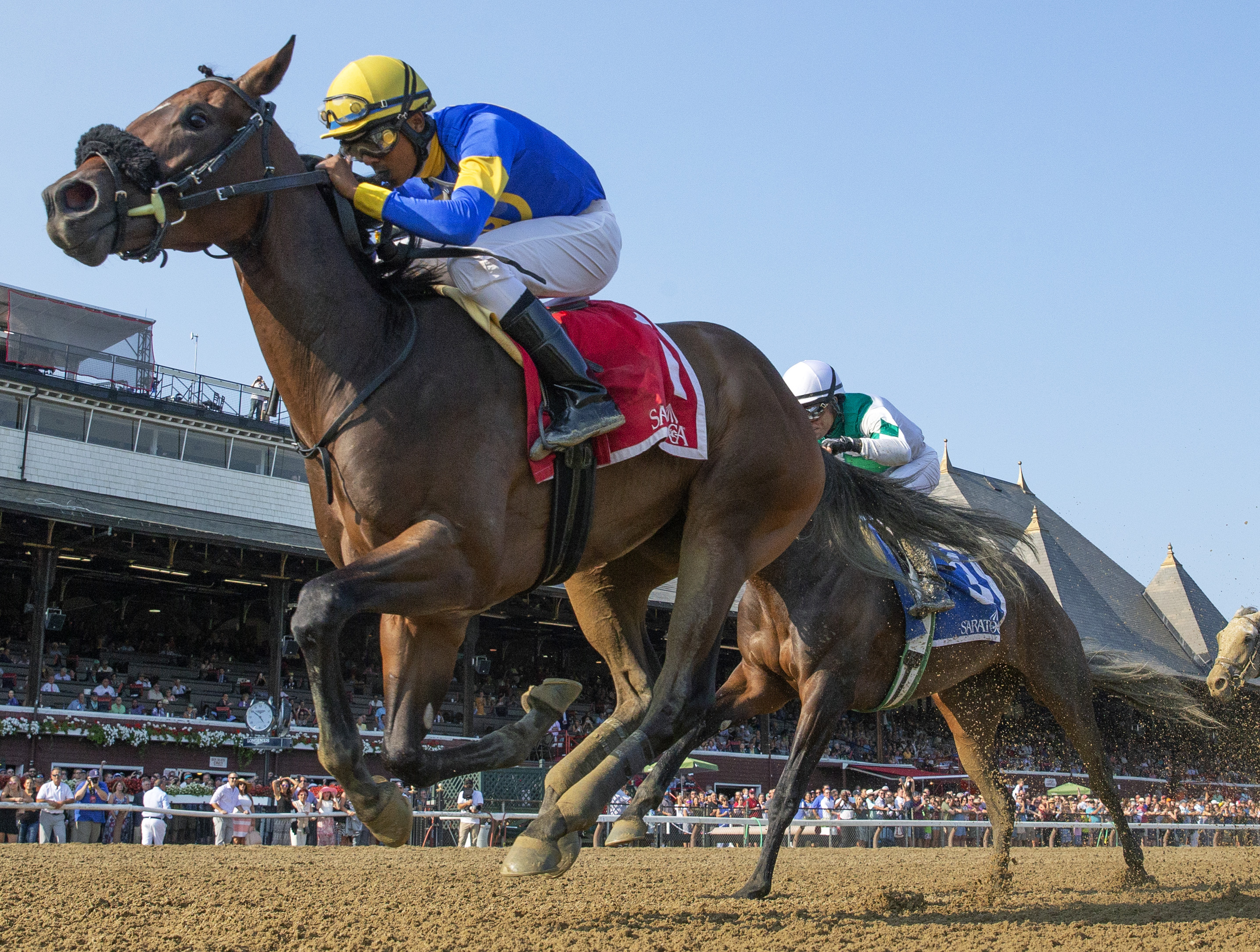 Party Like Grandma wins 2018 Seeking The Ante