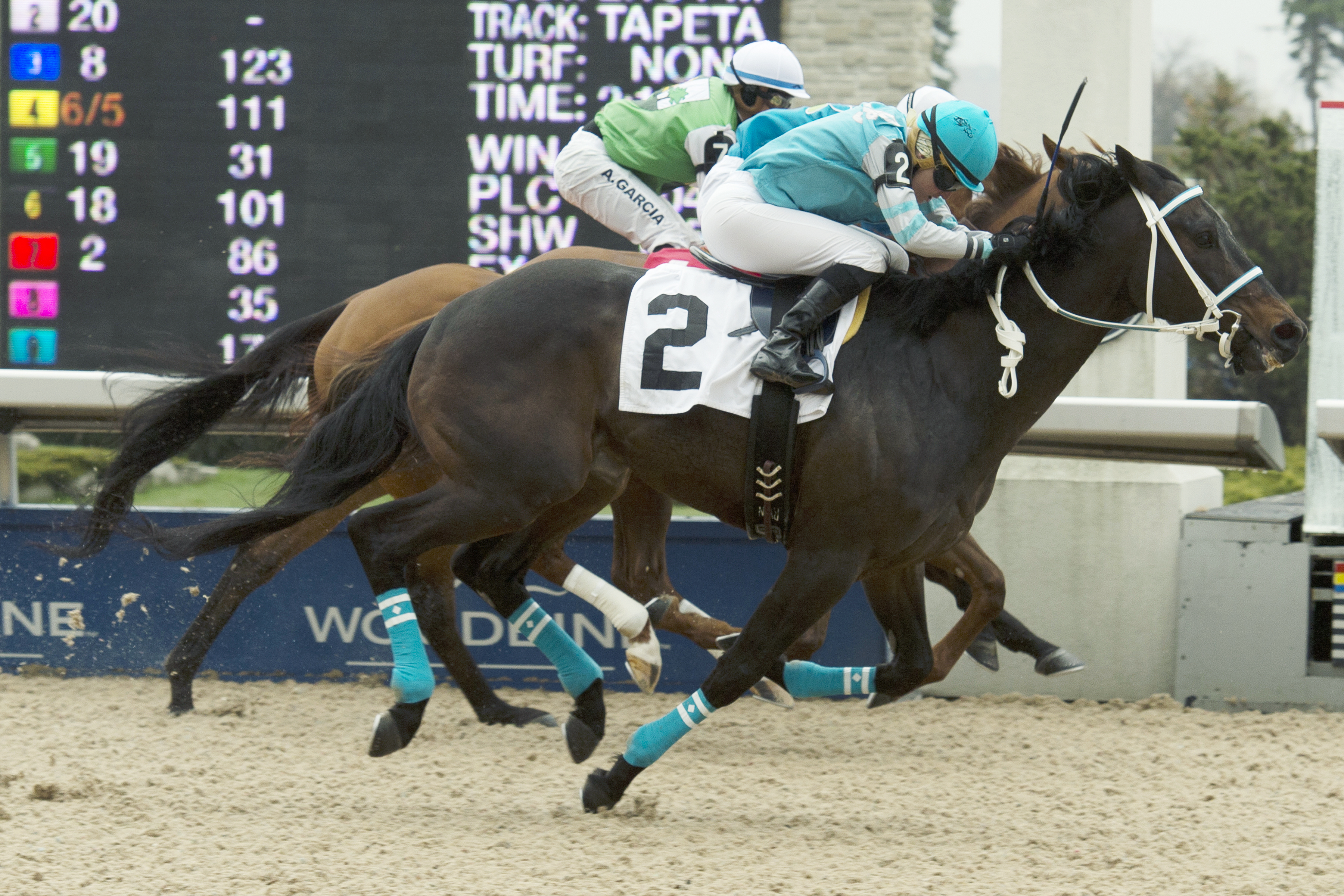 Seeking the Bay wins a May 1 claiming race