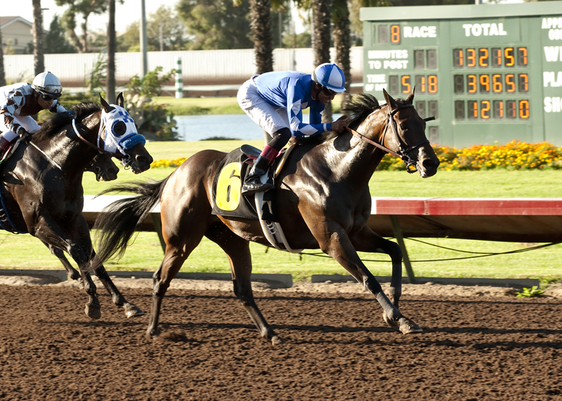 Seeking the Sherif 9-20-2014