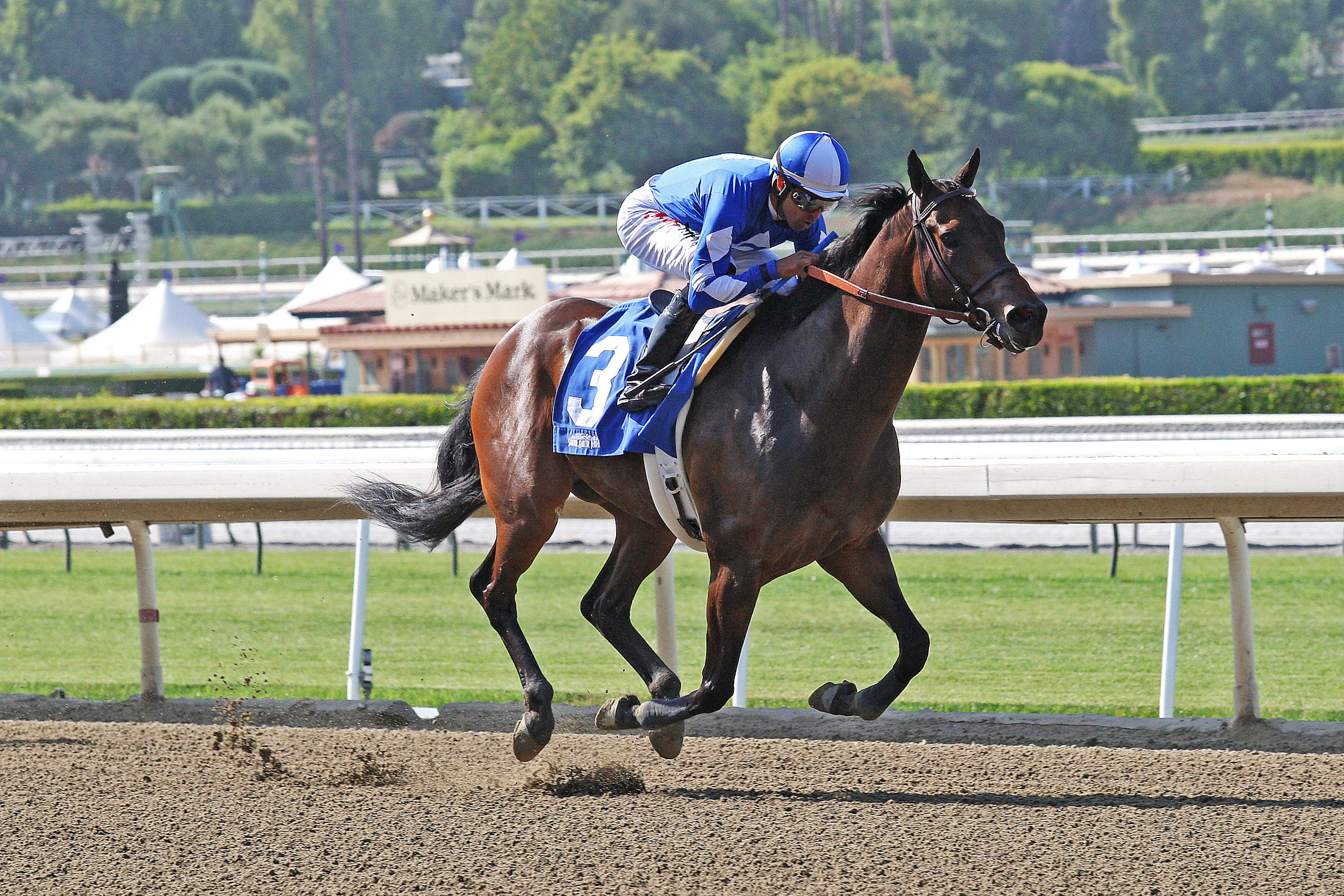 Seeking the Sherif wins an allowance optional claimer