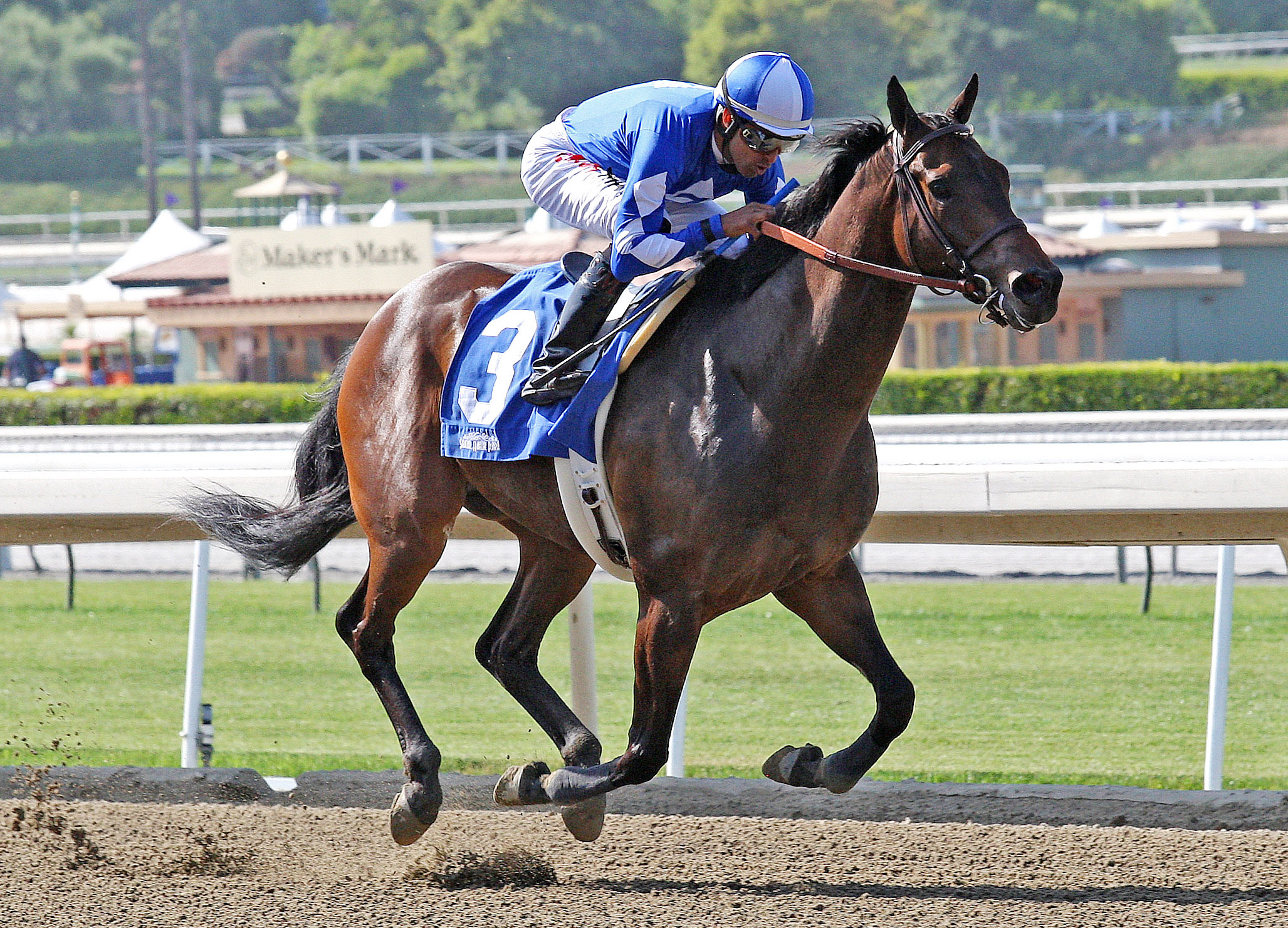 Seeking the Sherif wins an allowance optional claimer