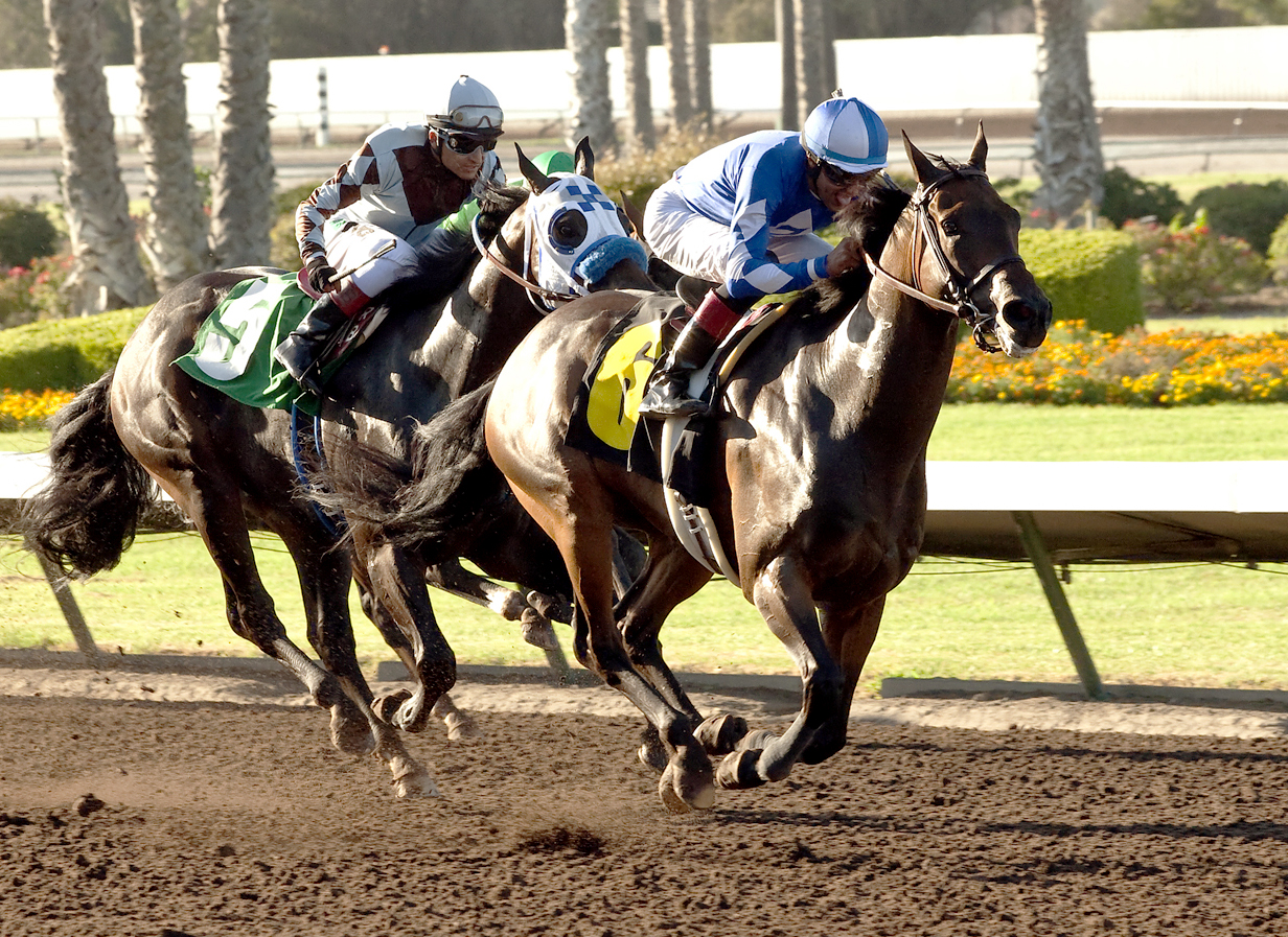 Seeking the Sherif wins the Katella Stakes