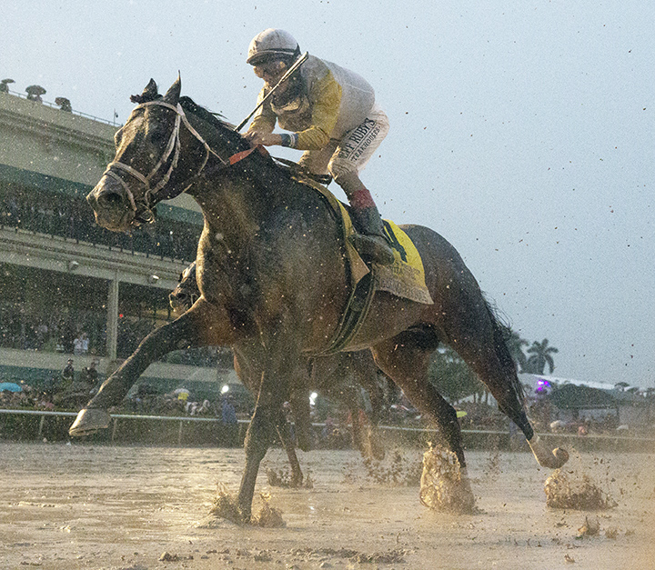 Seeking the Soul finishes second in the 2019 Pegasus World Cup