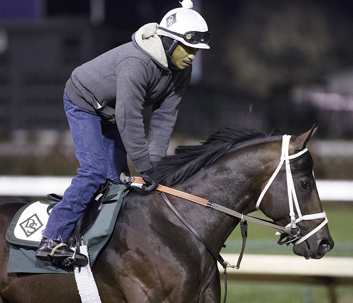 Seeking the Soul at Churchill on Oct. 24