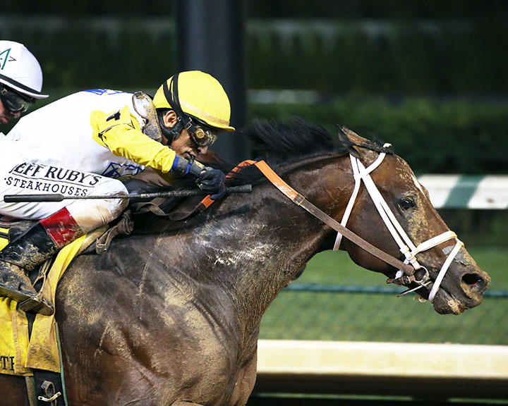 Seeking the Soul wins the 2019 Stephen Foster