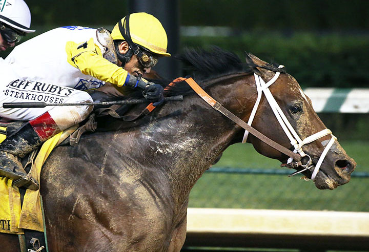 Seeking the Soul wins the 2019 Stephen Foster