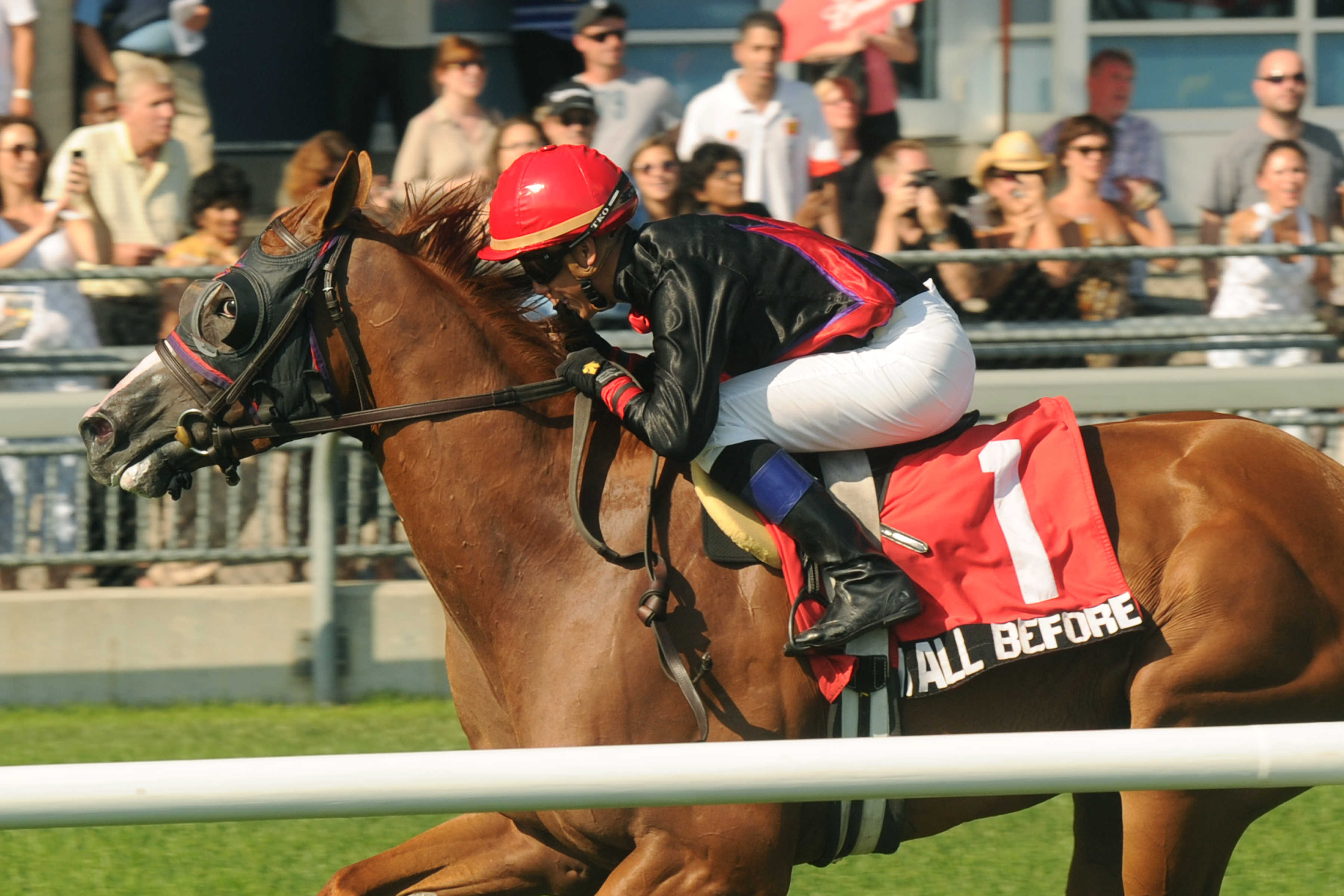 Seen It All Before/Vice Regent Stakes