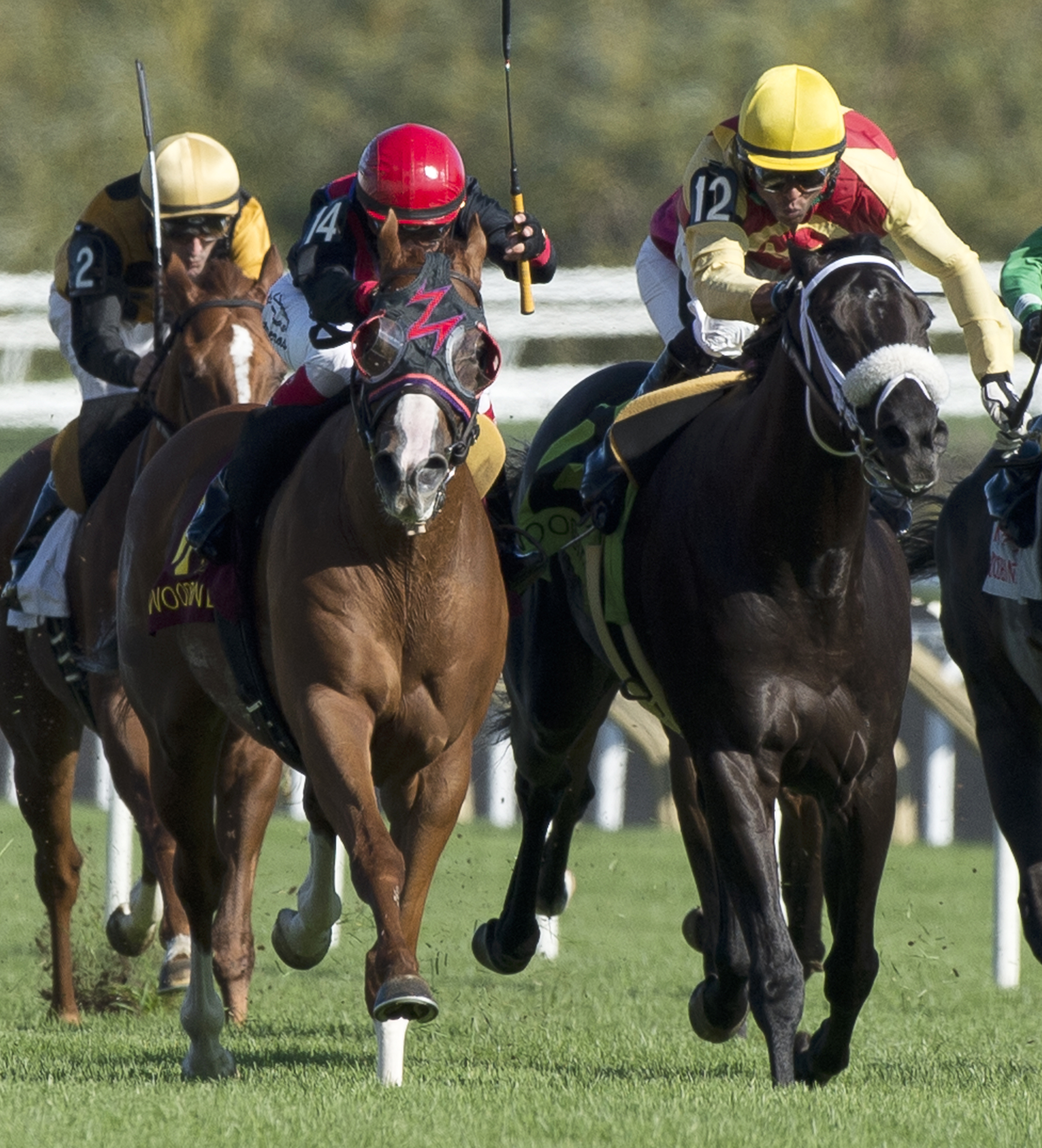 Seen It All Before wins the Bunty Lawless Stakes