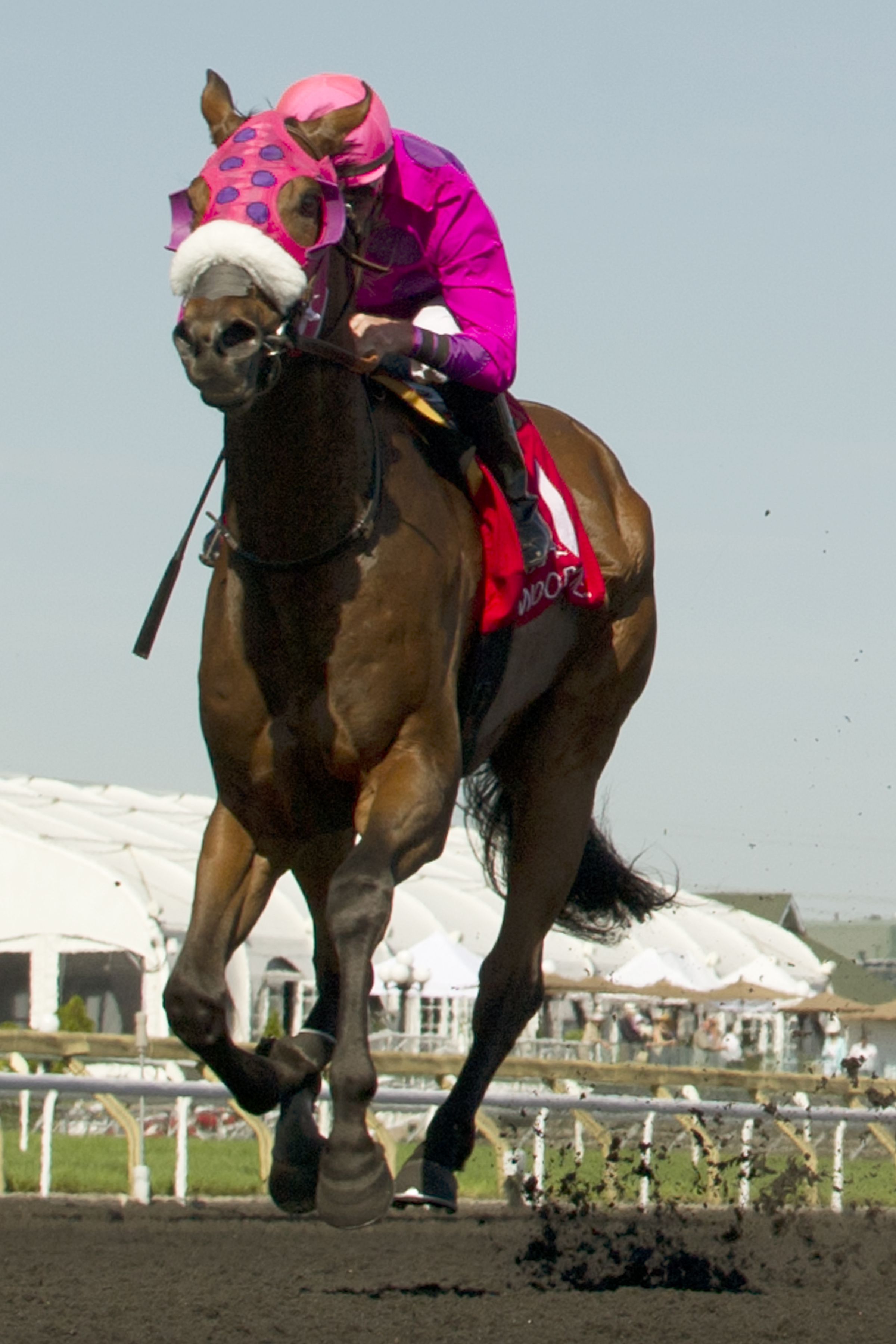 Seffeara wins 2015 Bold Ruckus