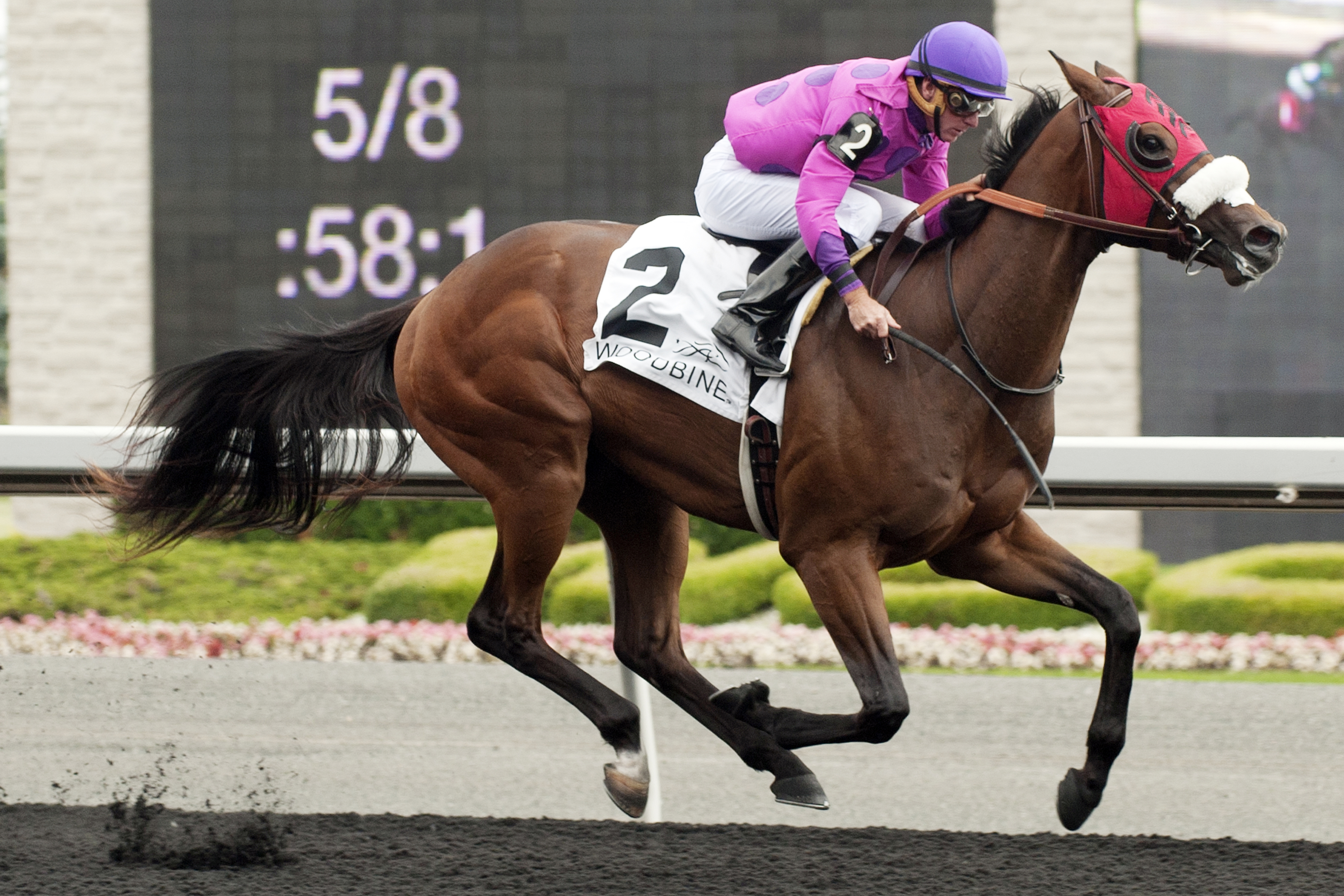 Seffeara wins the Clarendon