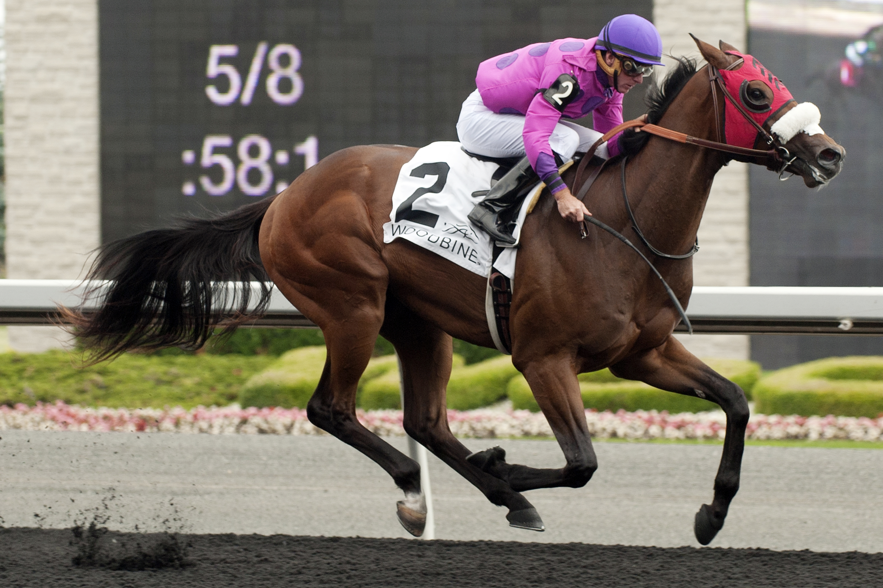 Seffeara wins the Clarendon