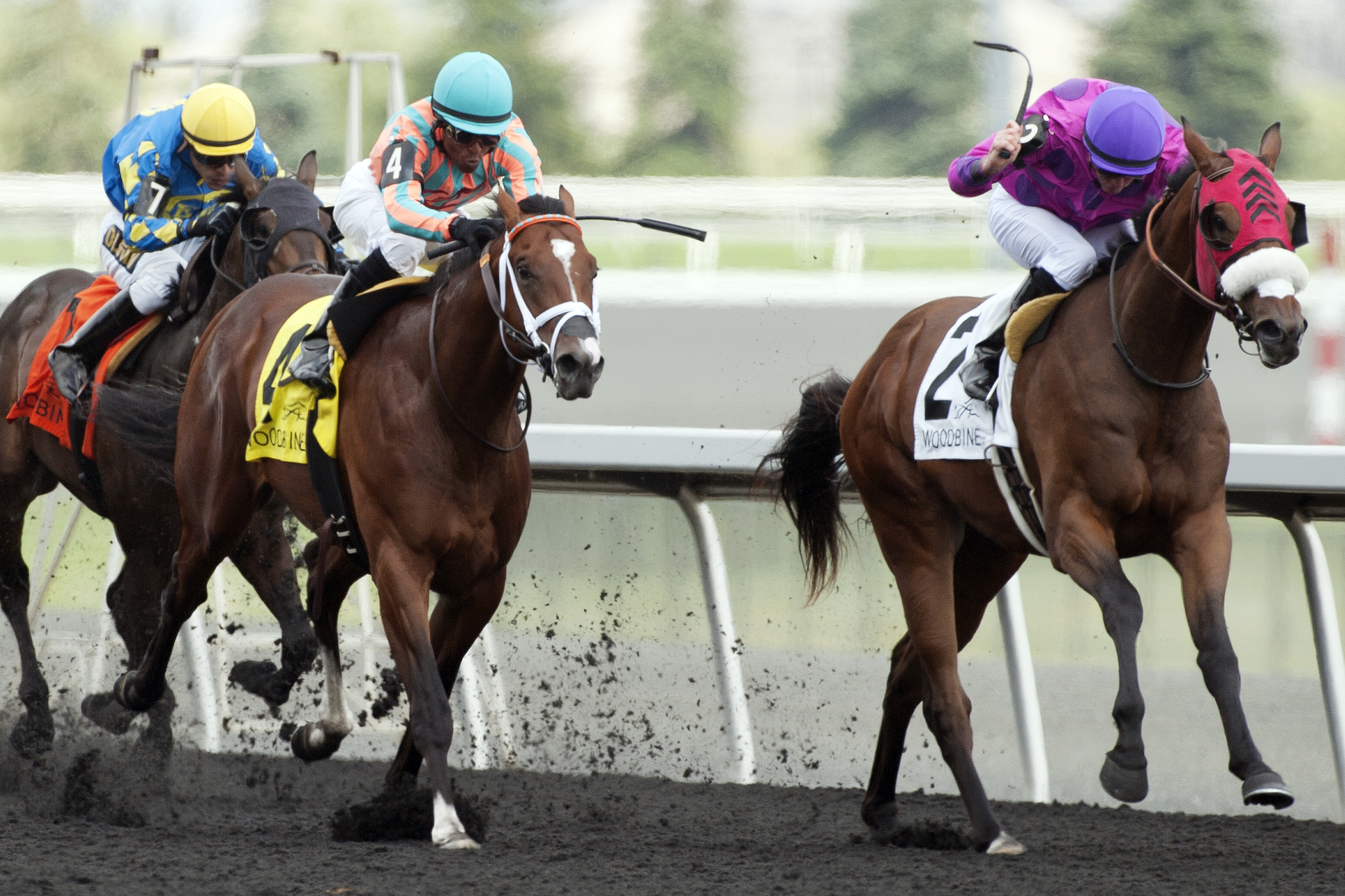 Conquest Typhoon finishes second in a maiden race