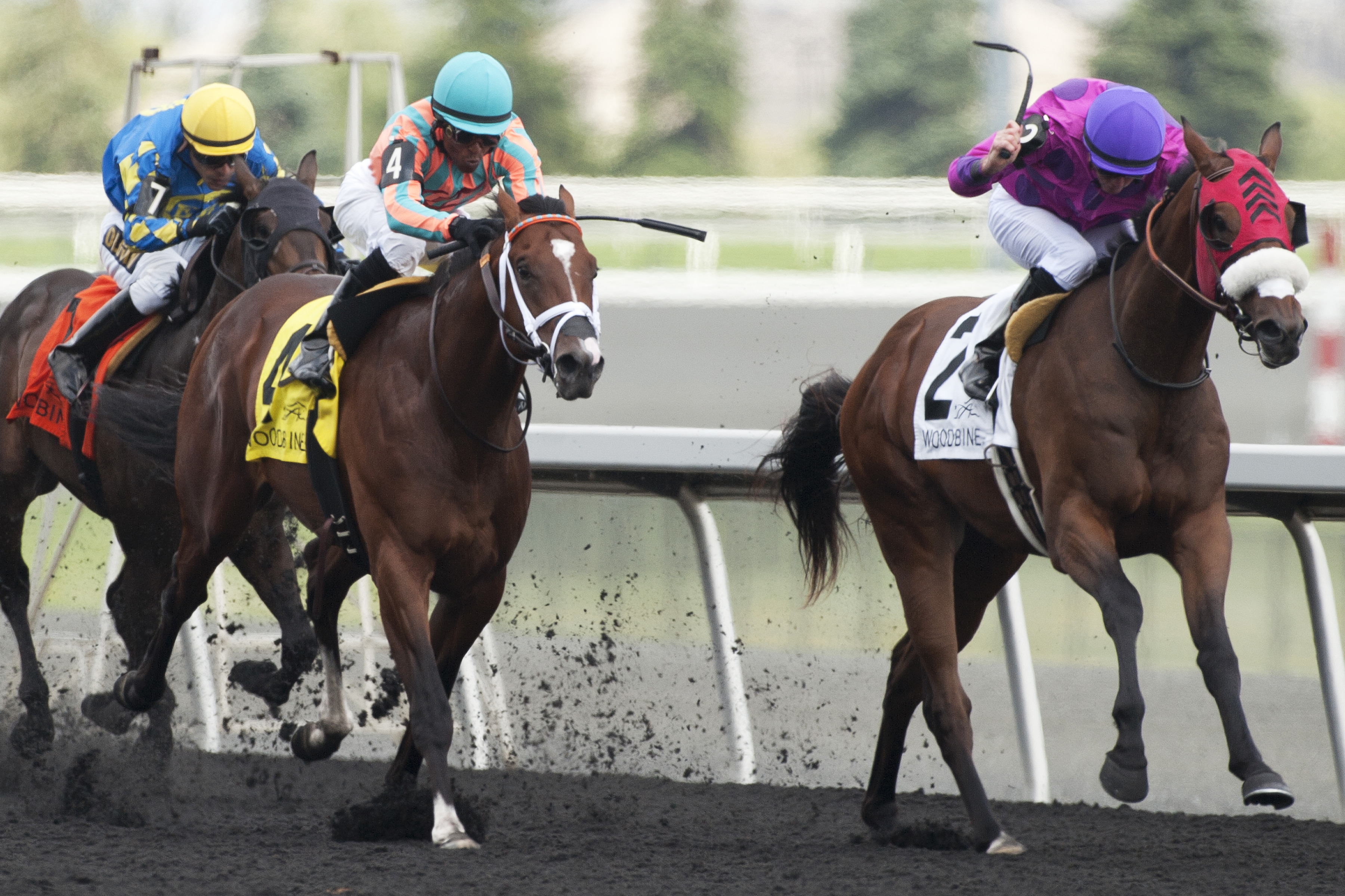 Seffeara wins the Clarendon