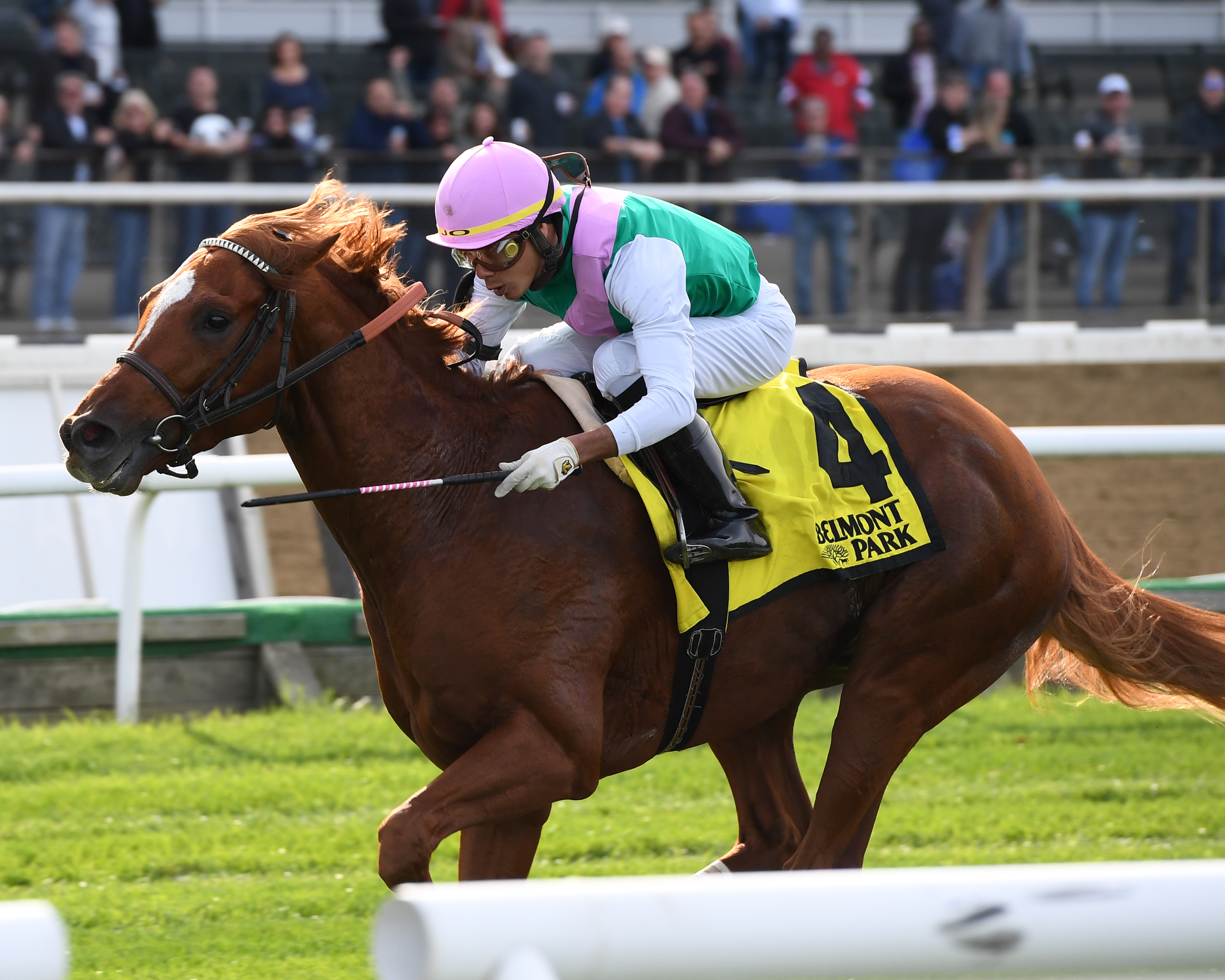 Seismic Wave wins the 2019 English Channel Stakes