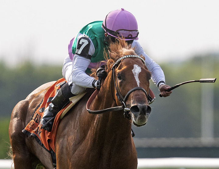 Seismic Wave finishes second in the 2019 Pennine Ridge Stakes