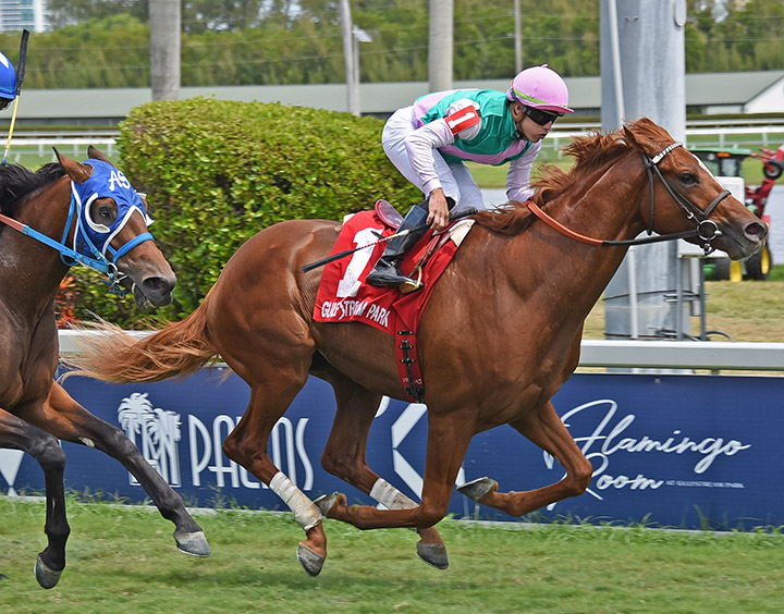 Seismic Wave wins the 2019 Cutler Bay Stakes