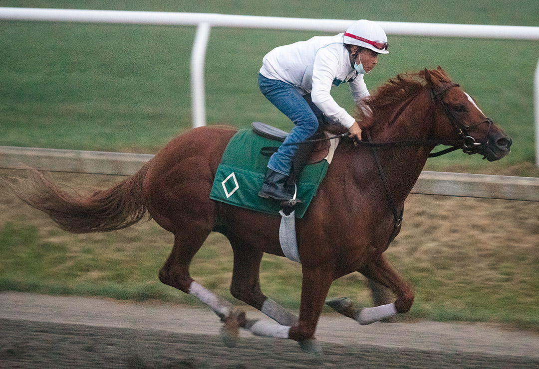 Seismic Wave trains at Saratoga Race Course on Sept. 28