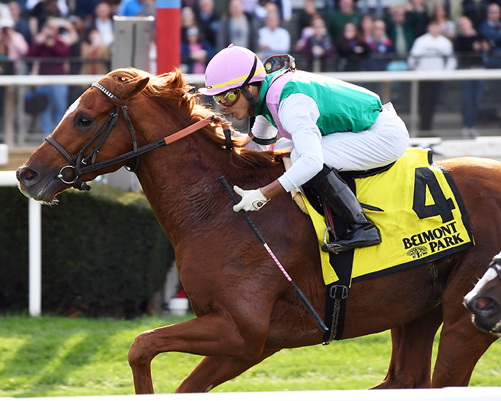 Seismic Wave wins the 2019 English Channel Stakes at Belmont Park