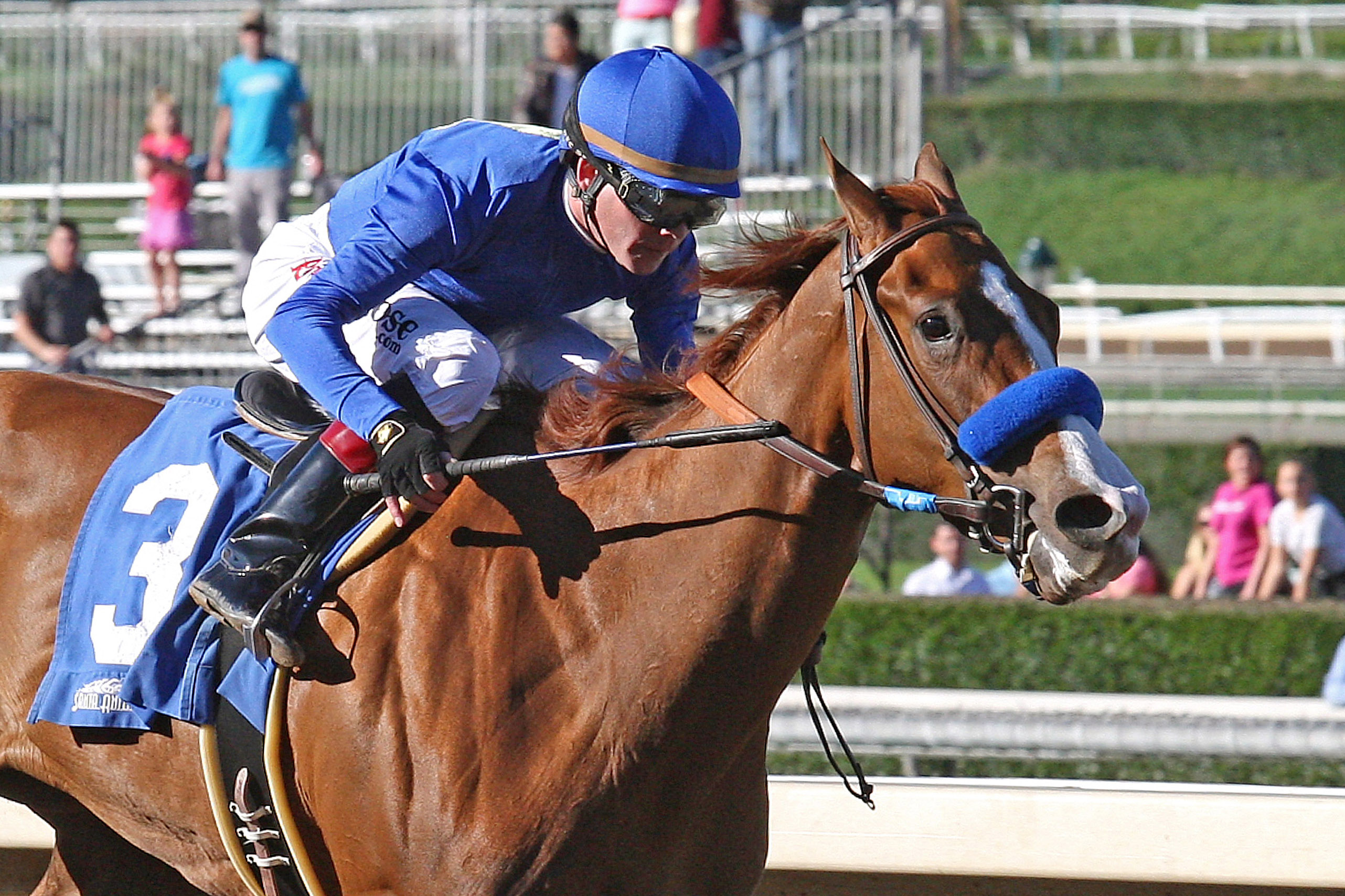 Selcourt wins a maiden race