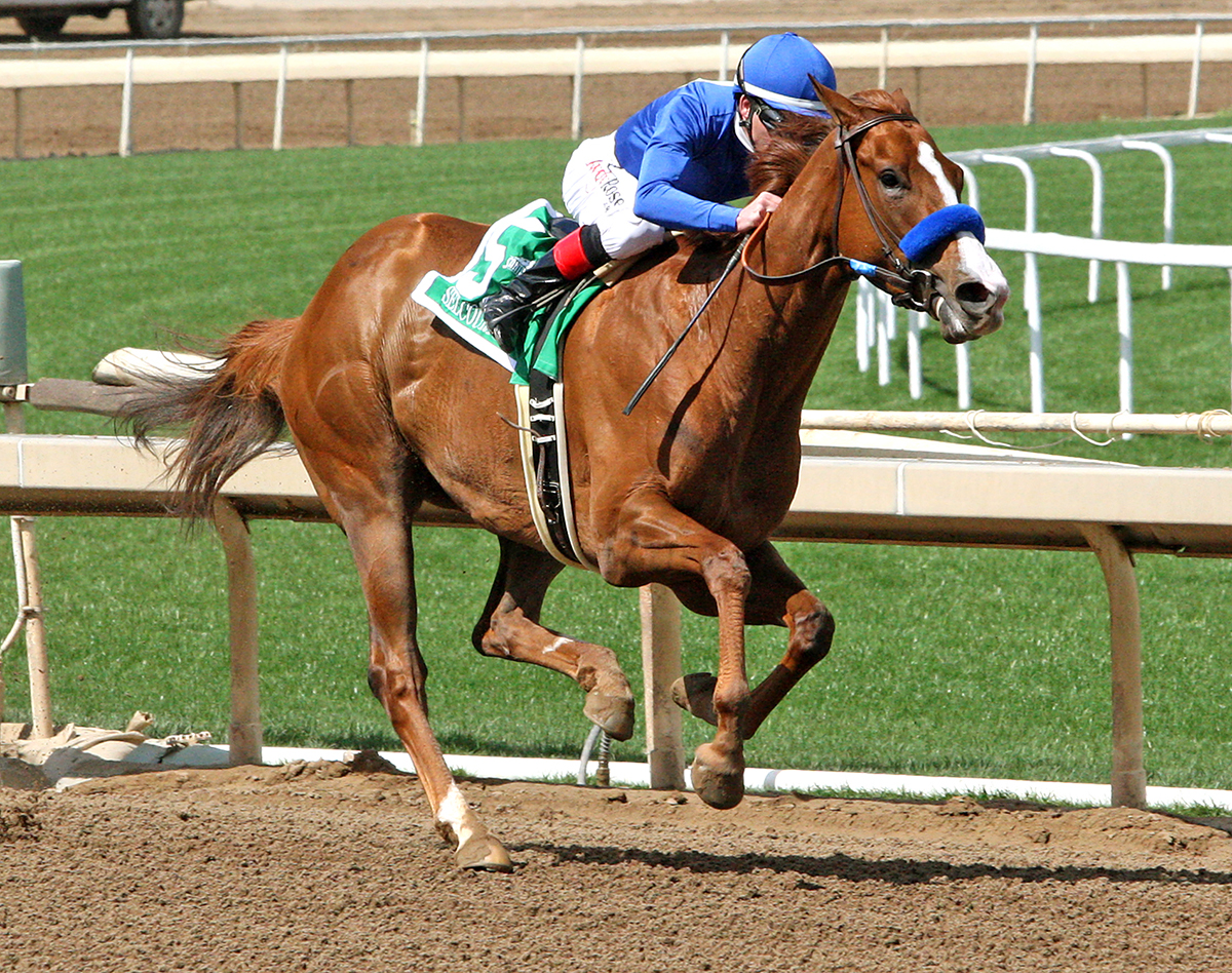 Selcourt wins the 2018 Santa Monica Stakes