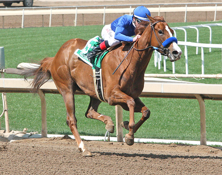 Selcourt wins the 2018 Santa Monica Stakes