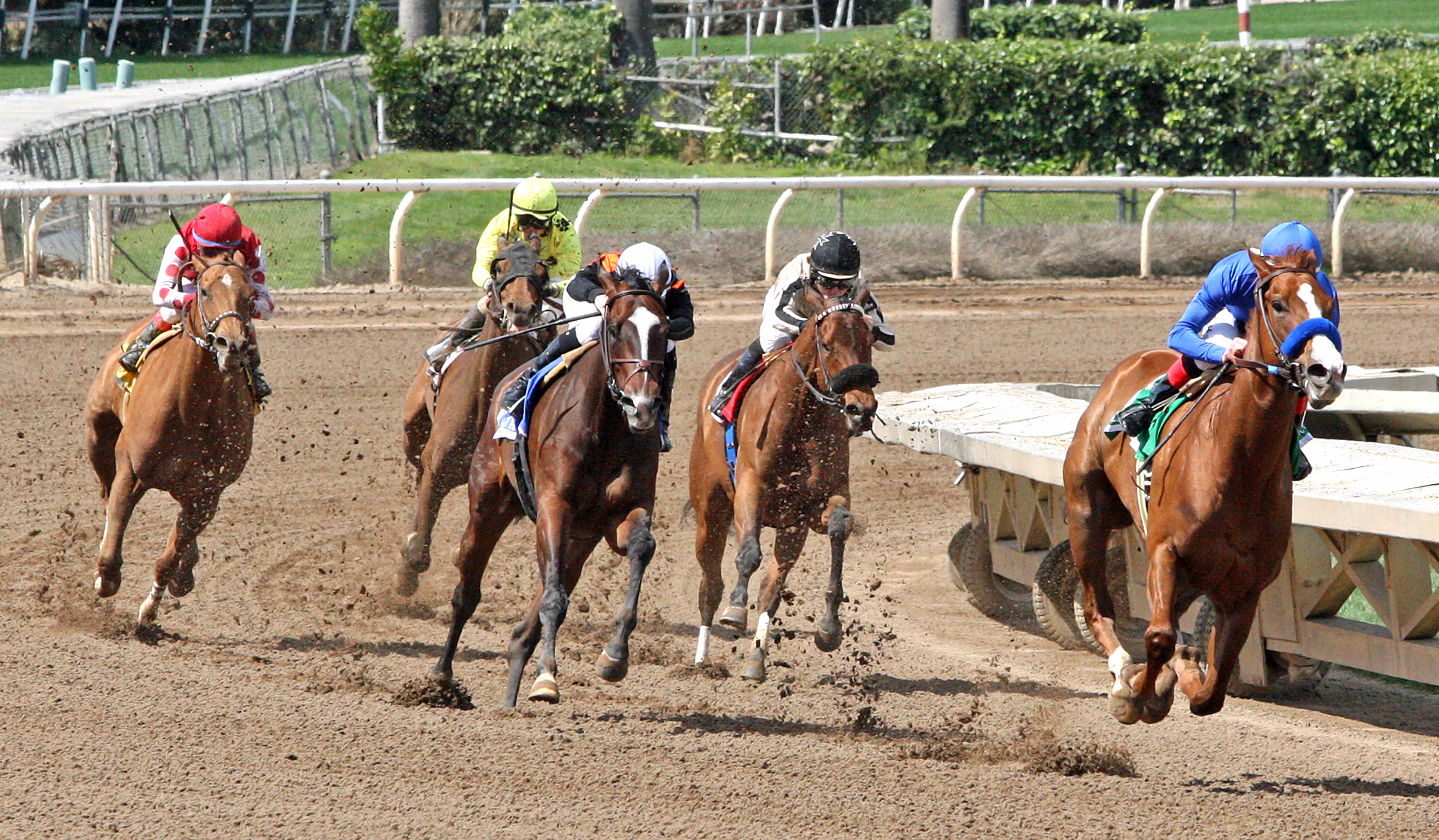 Selcourt wins 2018 Santa Monica Stakes