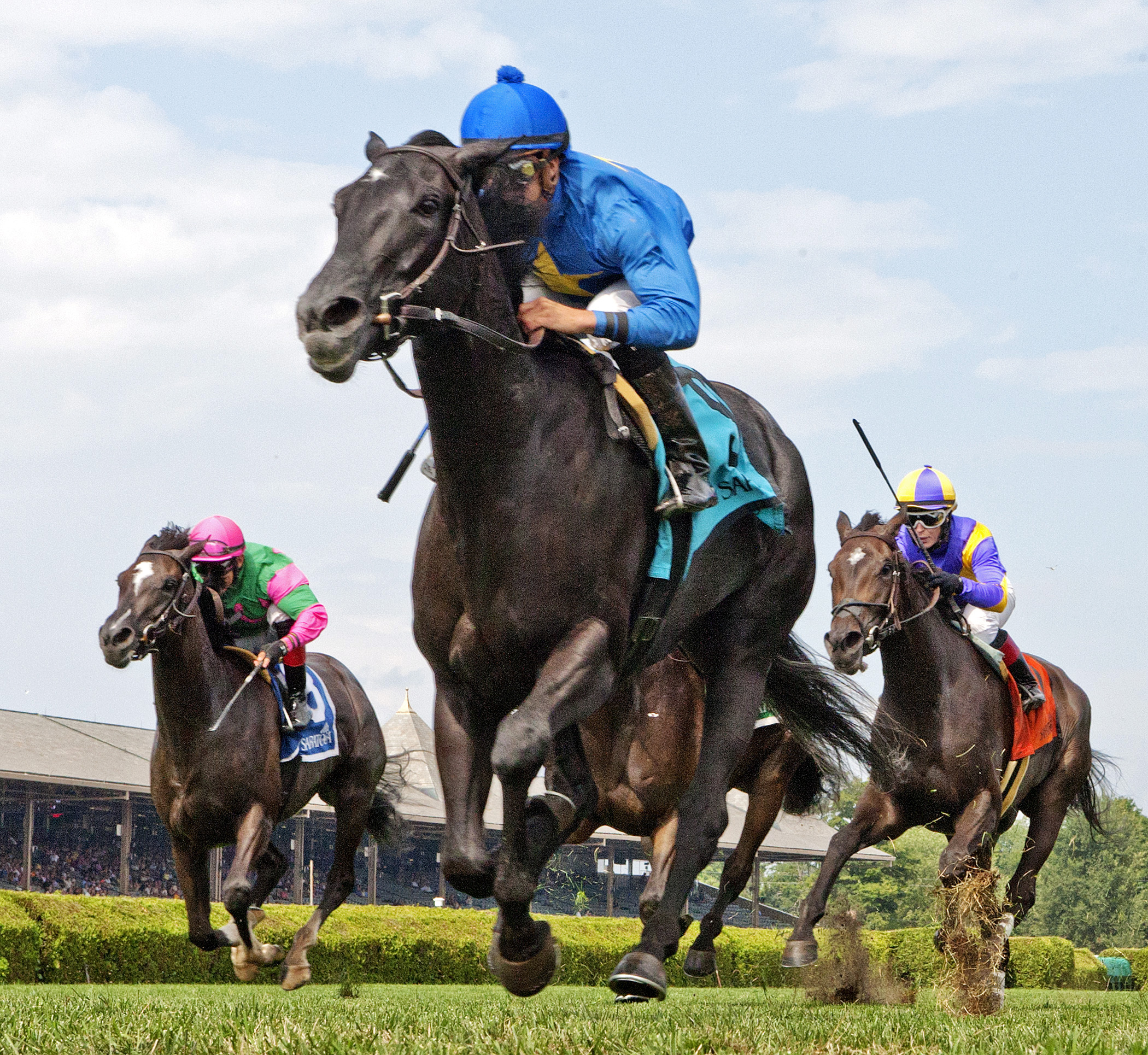 Selenite wins the New York Stallion Series Statue of Liberty Division