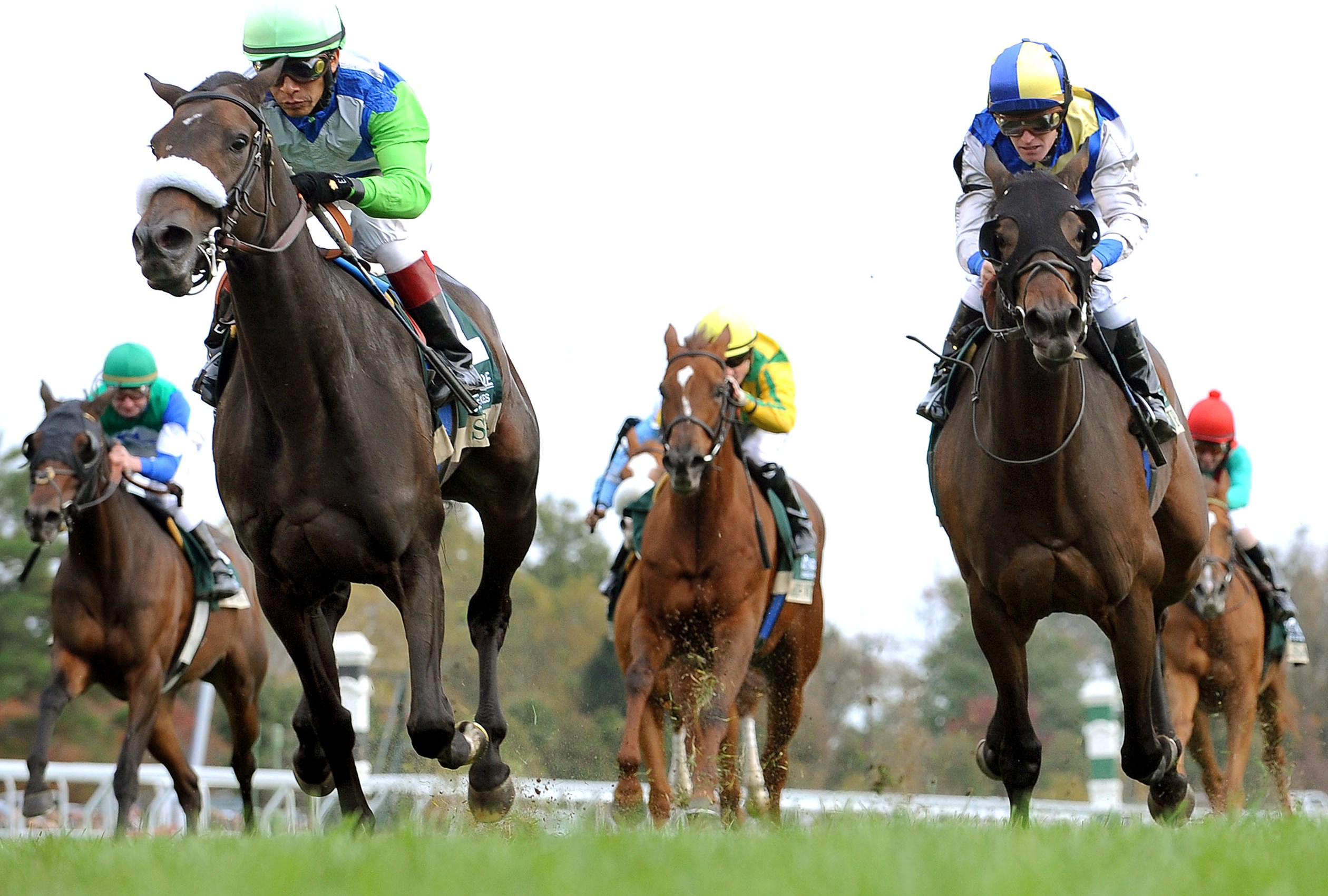 Senada, Dowager Stakes
