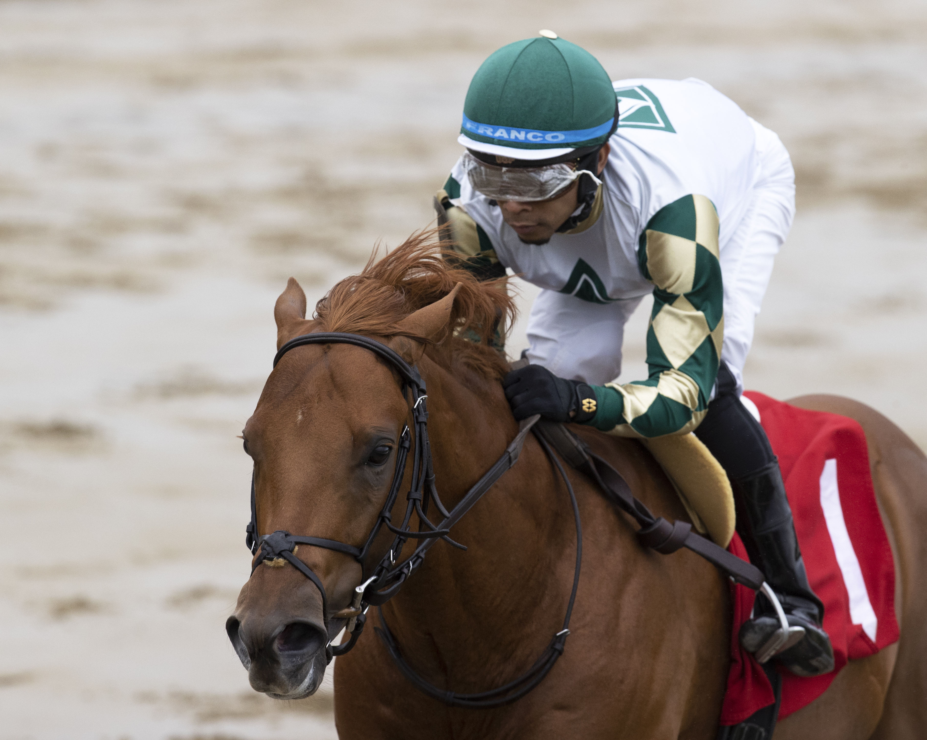 Senbei, maiden win