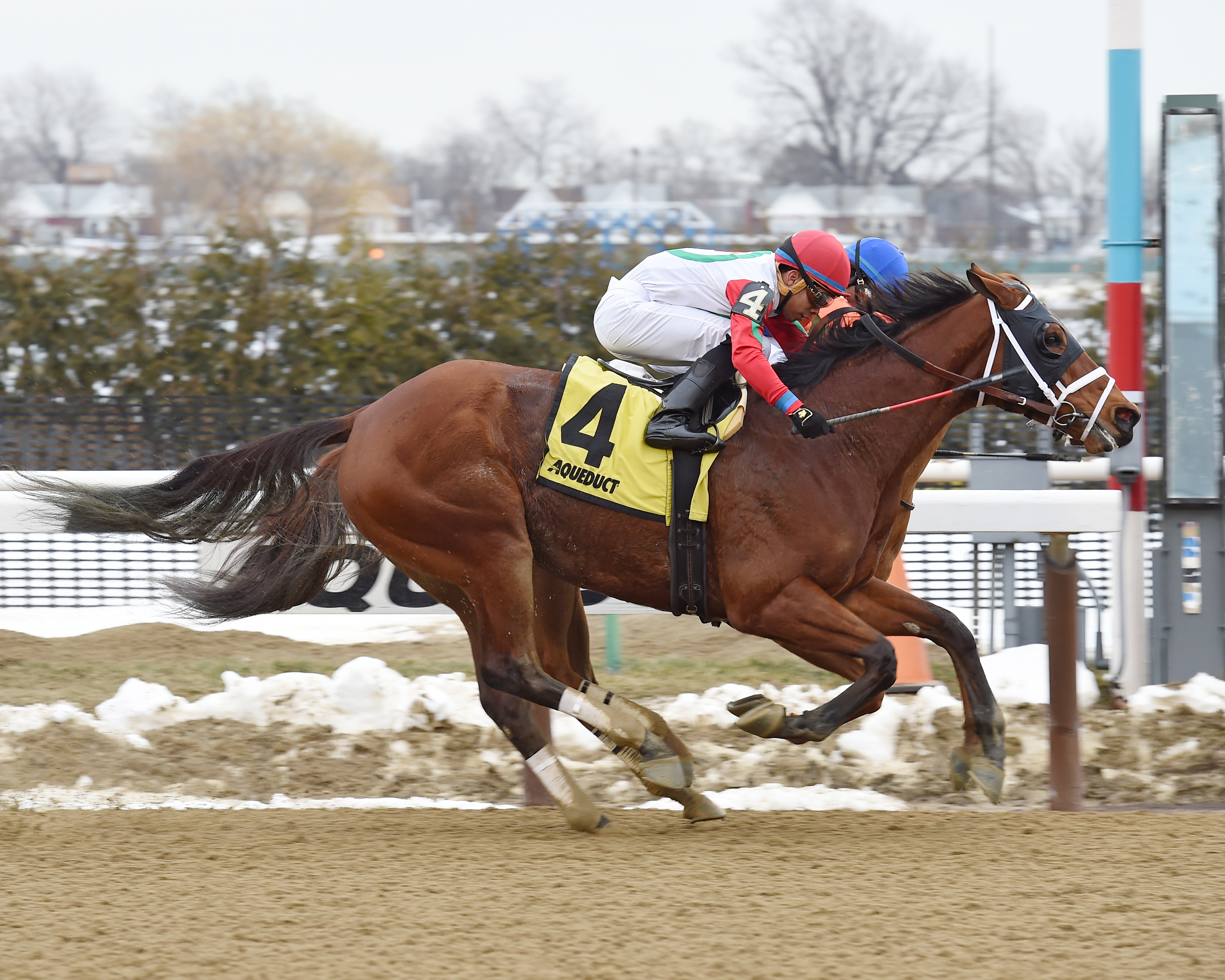 Send It In wins the Haynesfield