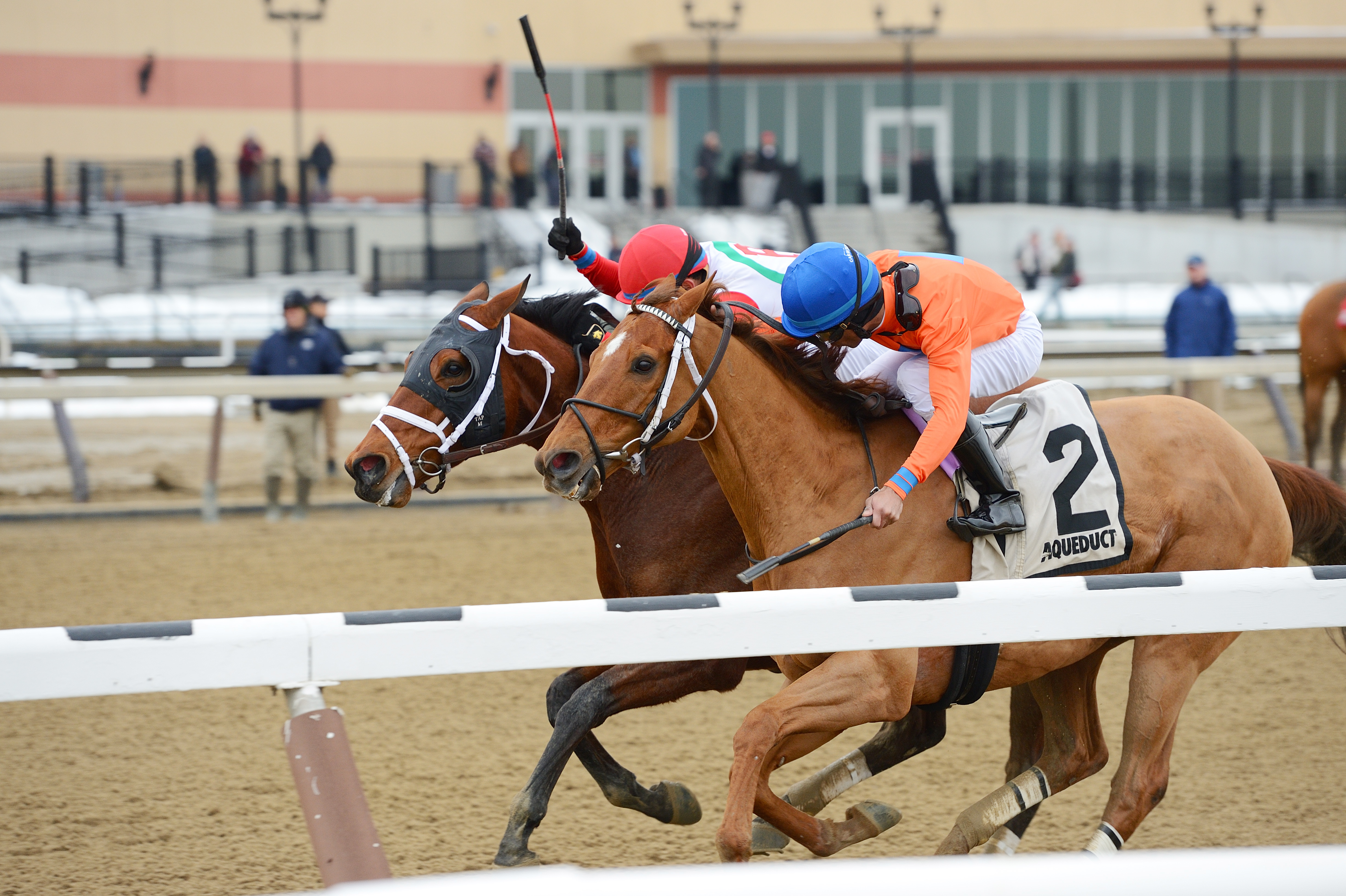 Fox Rules finishes second in the Haynesfield