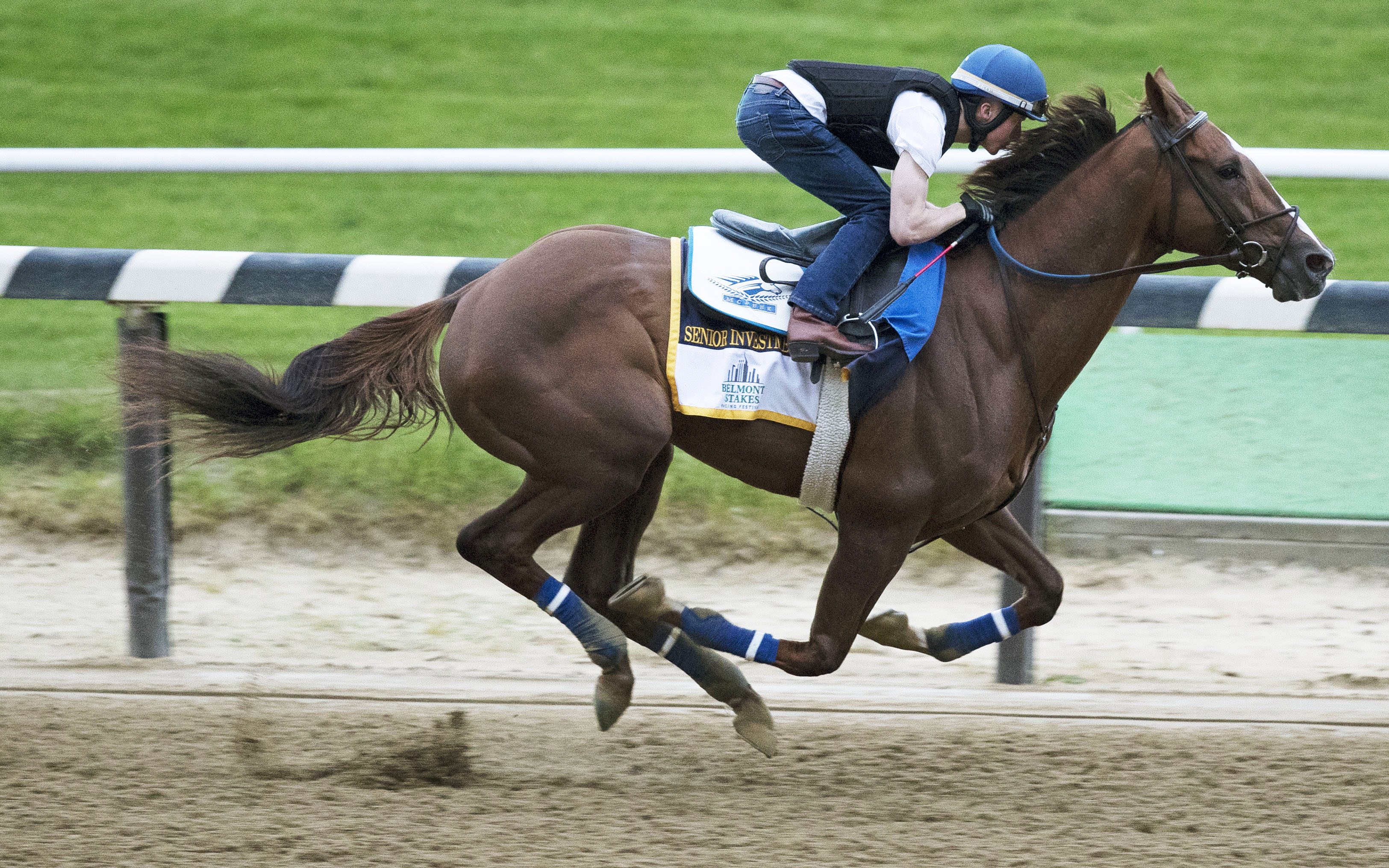 Senior Investment trains at Belmont on June 6
