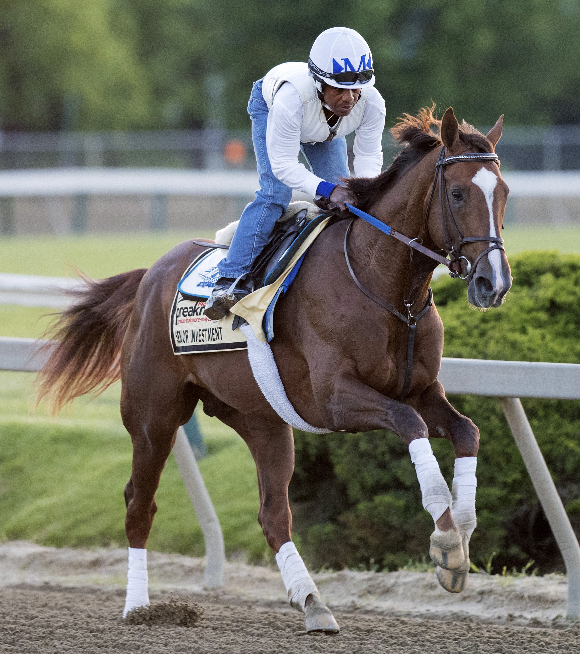 Senior Investment trains at Pimlico on May 17