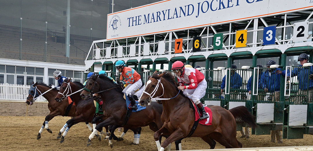 Laurel Park racing 2020