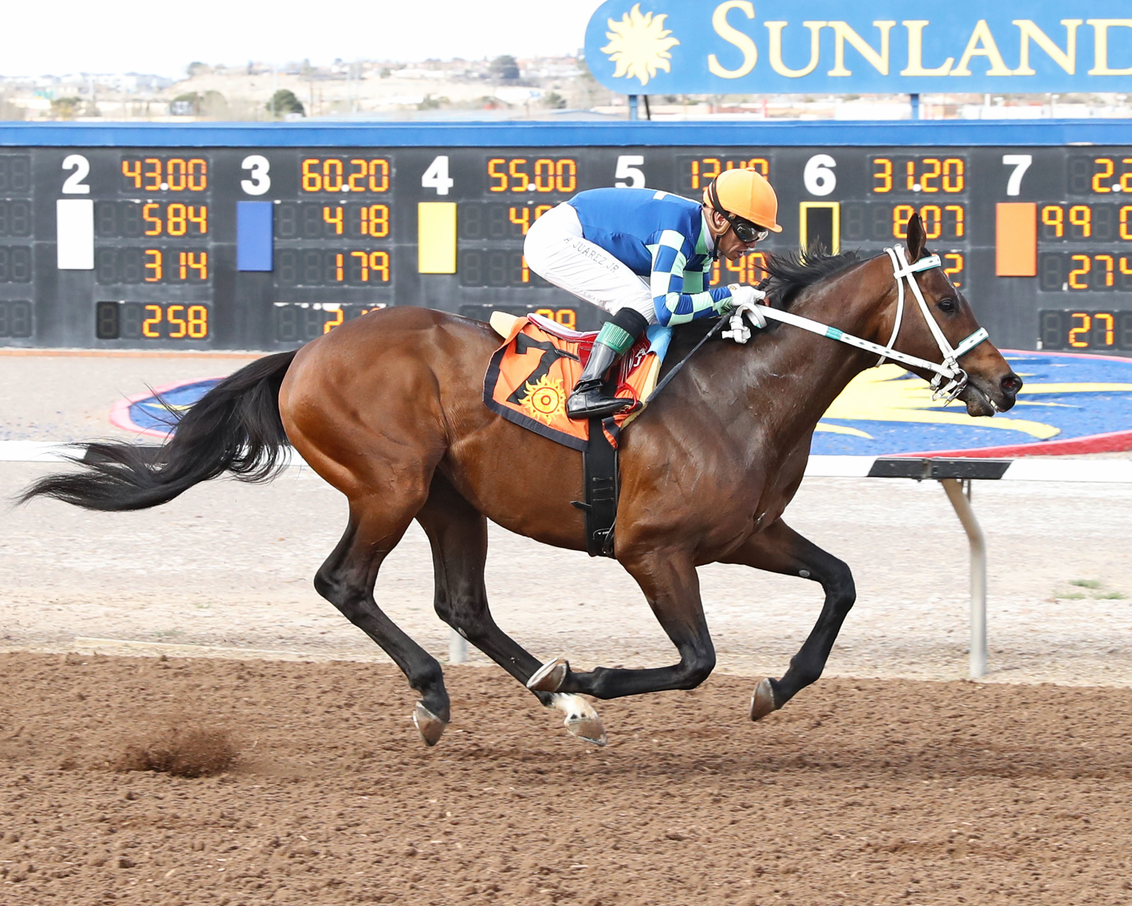 Senor Buscador wins Curribot Handicap at SUN March 5 2023