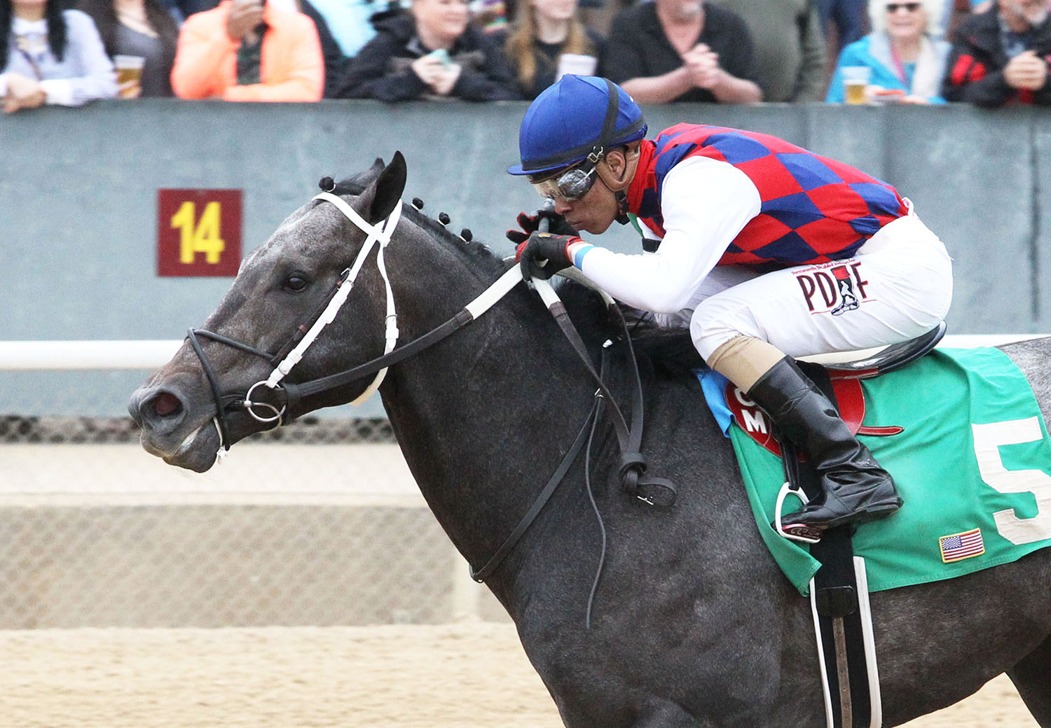 Senor Jobim wins a March 25 maiden race