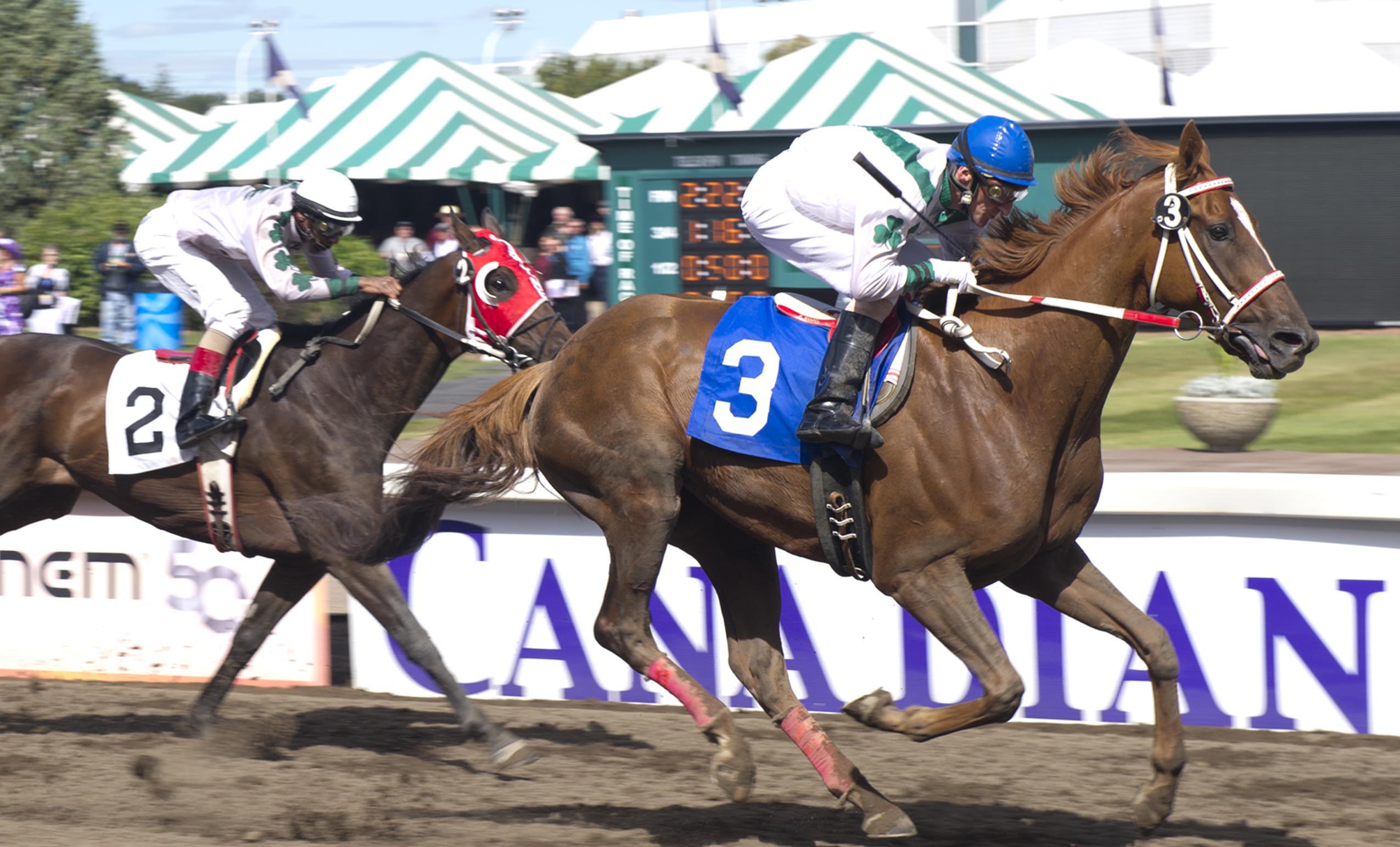 Senor Rojo/2011 Speed to Spare Stakes