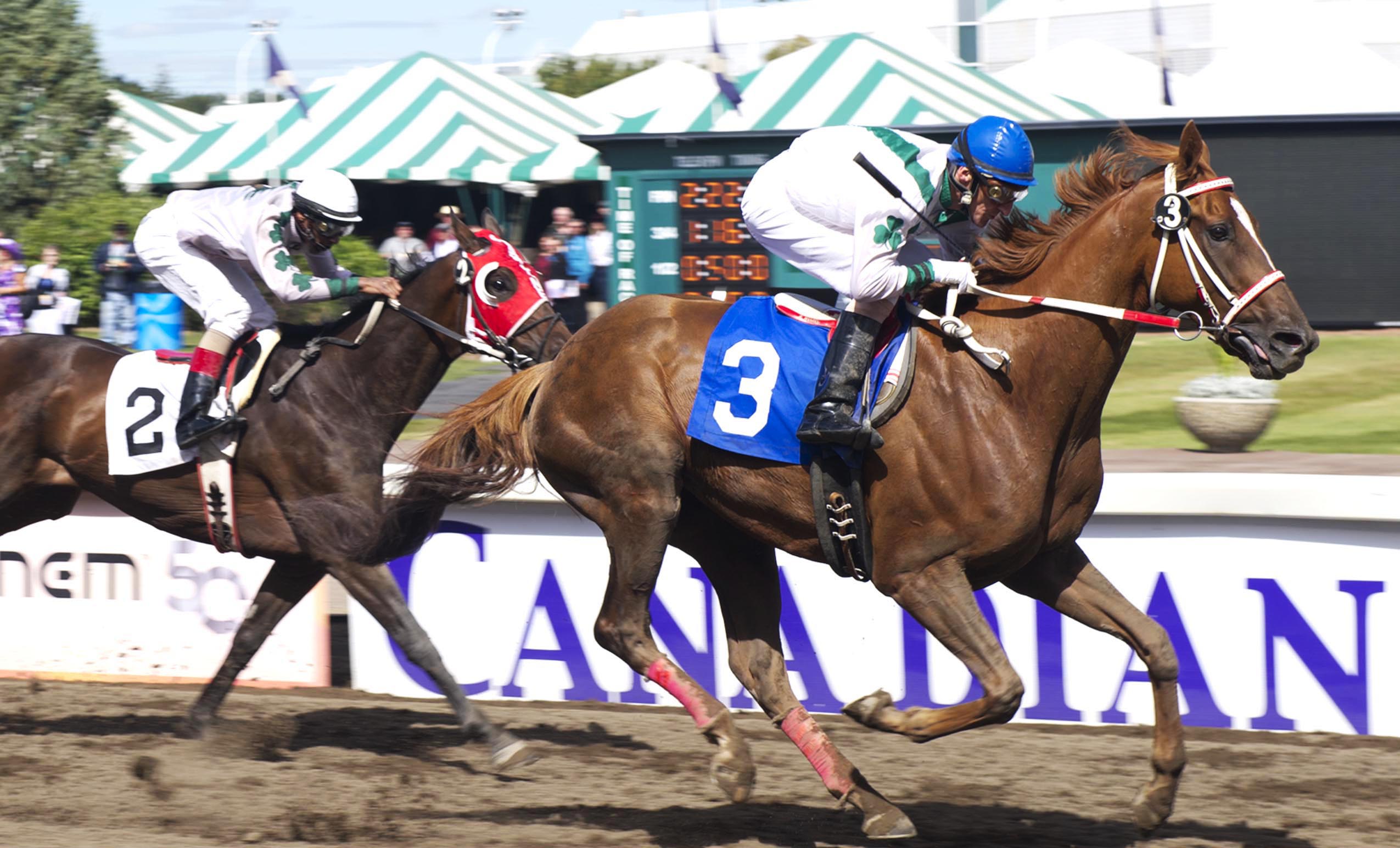 Senor Rojo wins the 2011 Speed to Spare