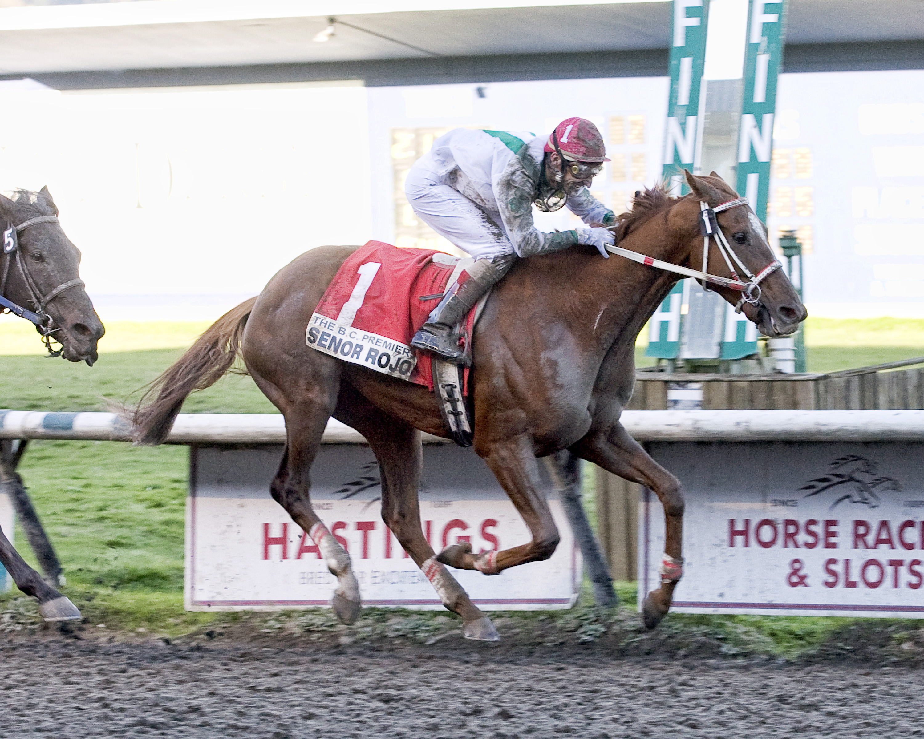 Senor Rojo wins the 2010 British Columbia Premiers