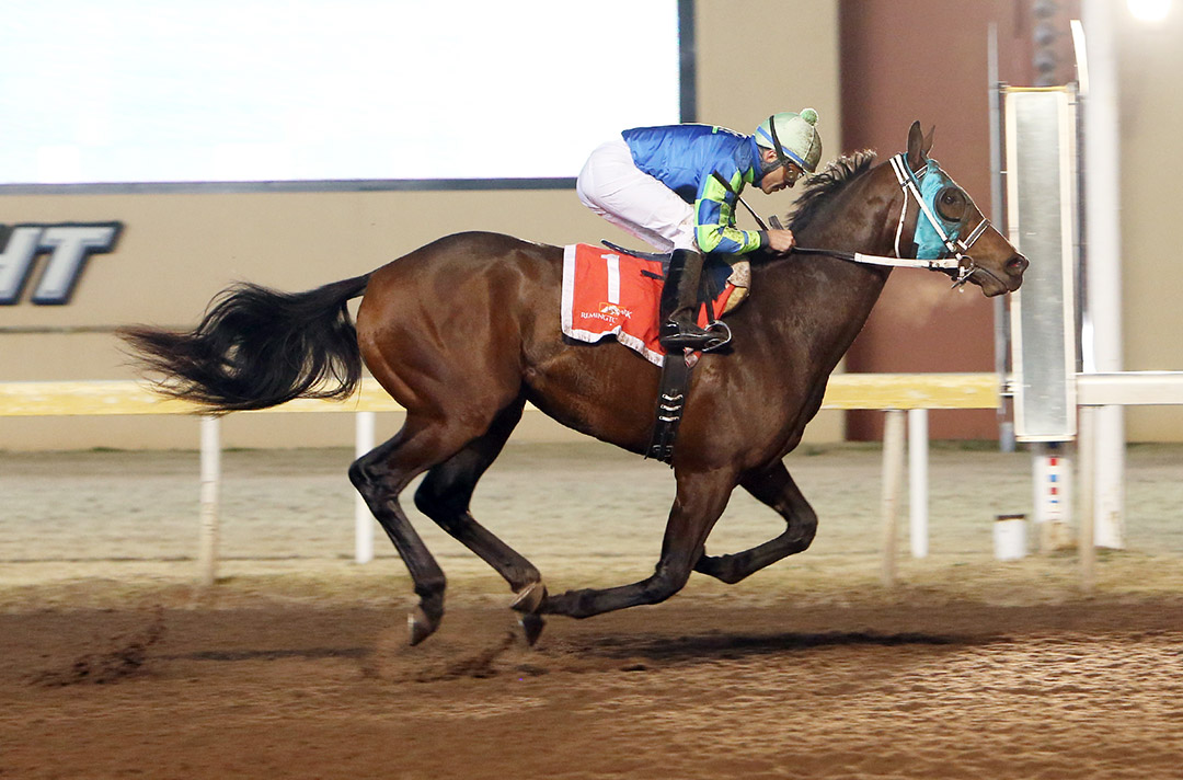 Senor Buscador wins the Springboard Mile at Remington Park