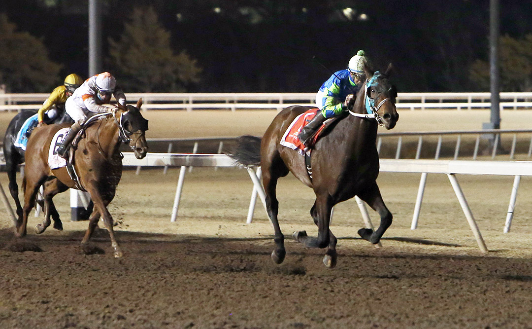 Senor Buscador (right) wins the 2020 Springboard Mile at Remington Park