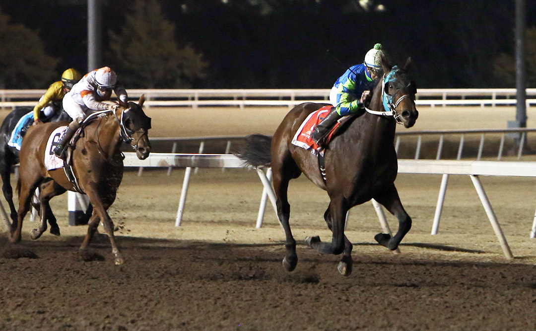 Senor Buscador wins the 2020 Springboard Mile at Remington