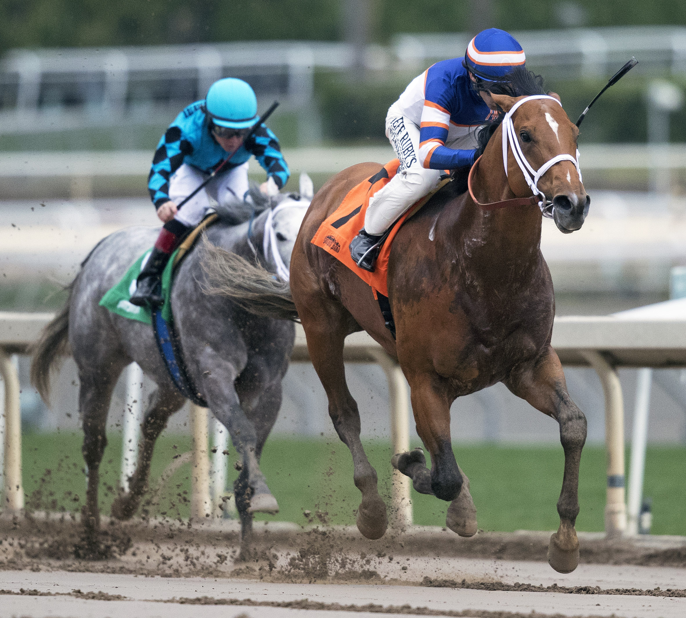 Tough Sunday wins 2018 Sensational Star