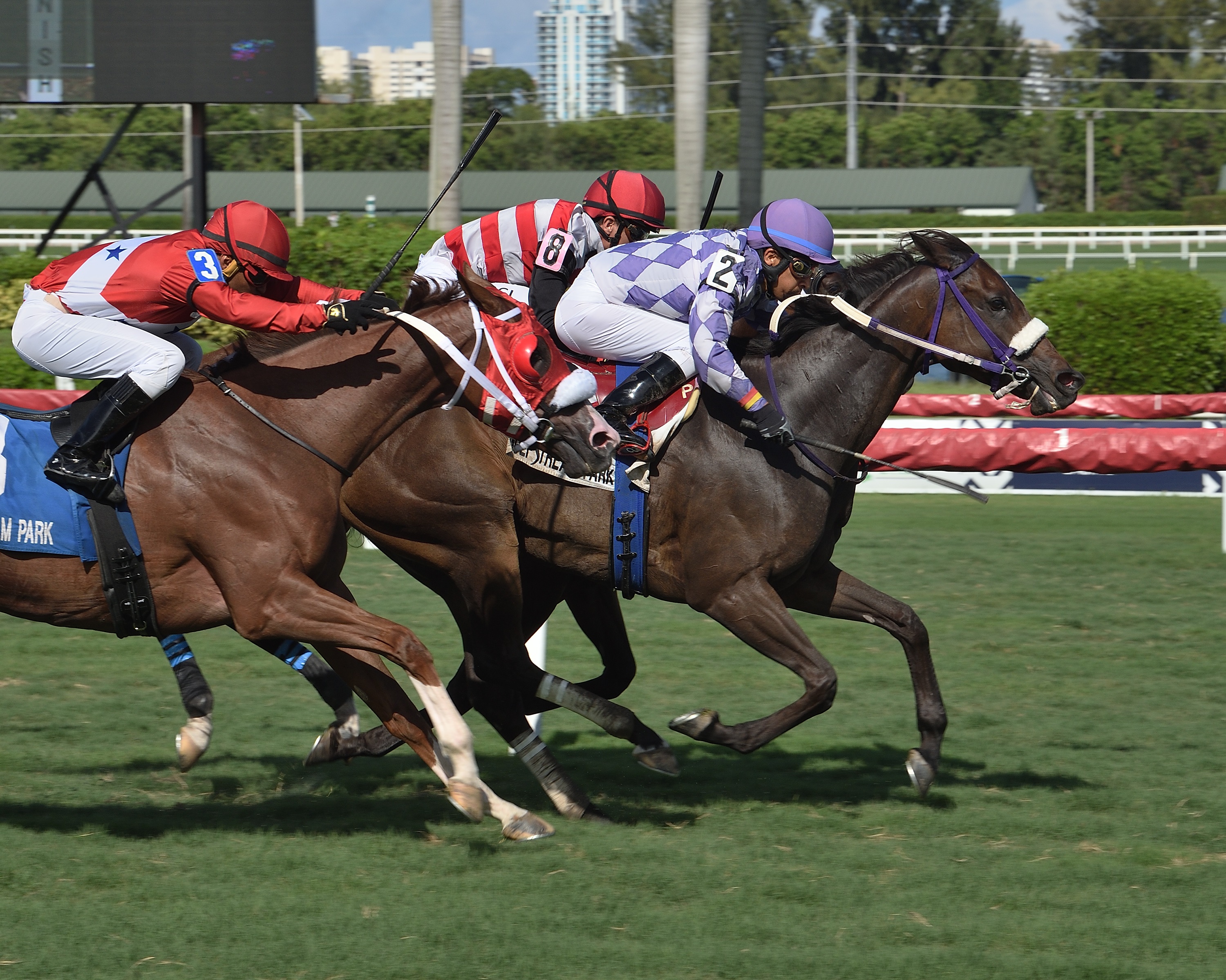Sensible Myth/Dayatthespa