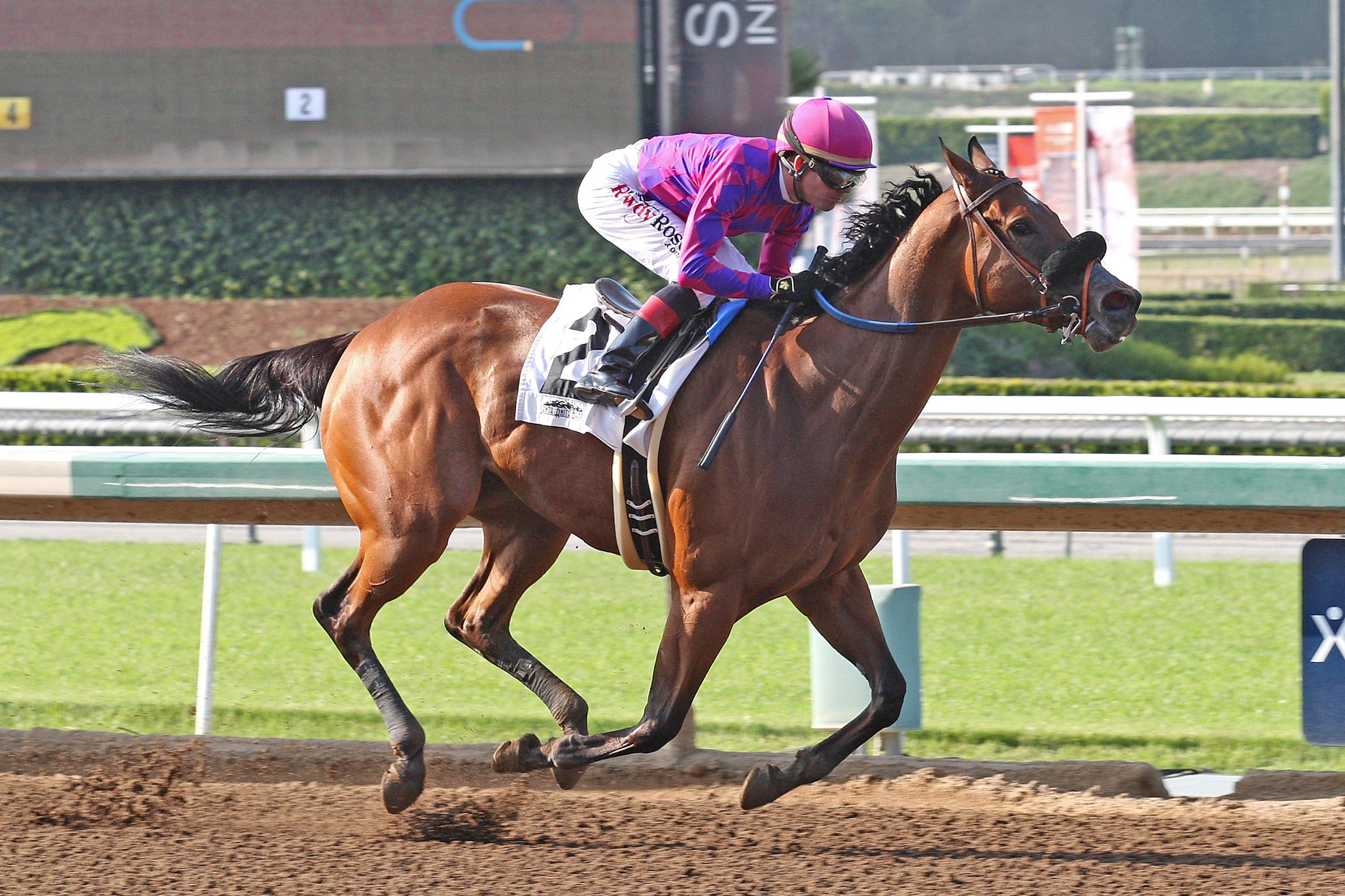Sensitively wins an optional claimer at Santa Anita