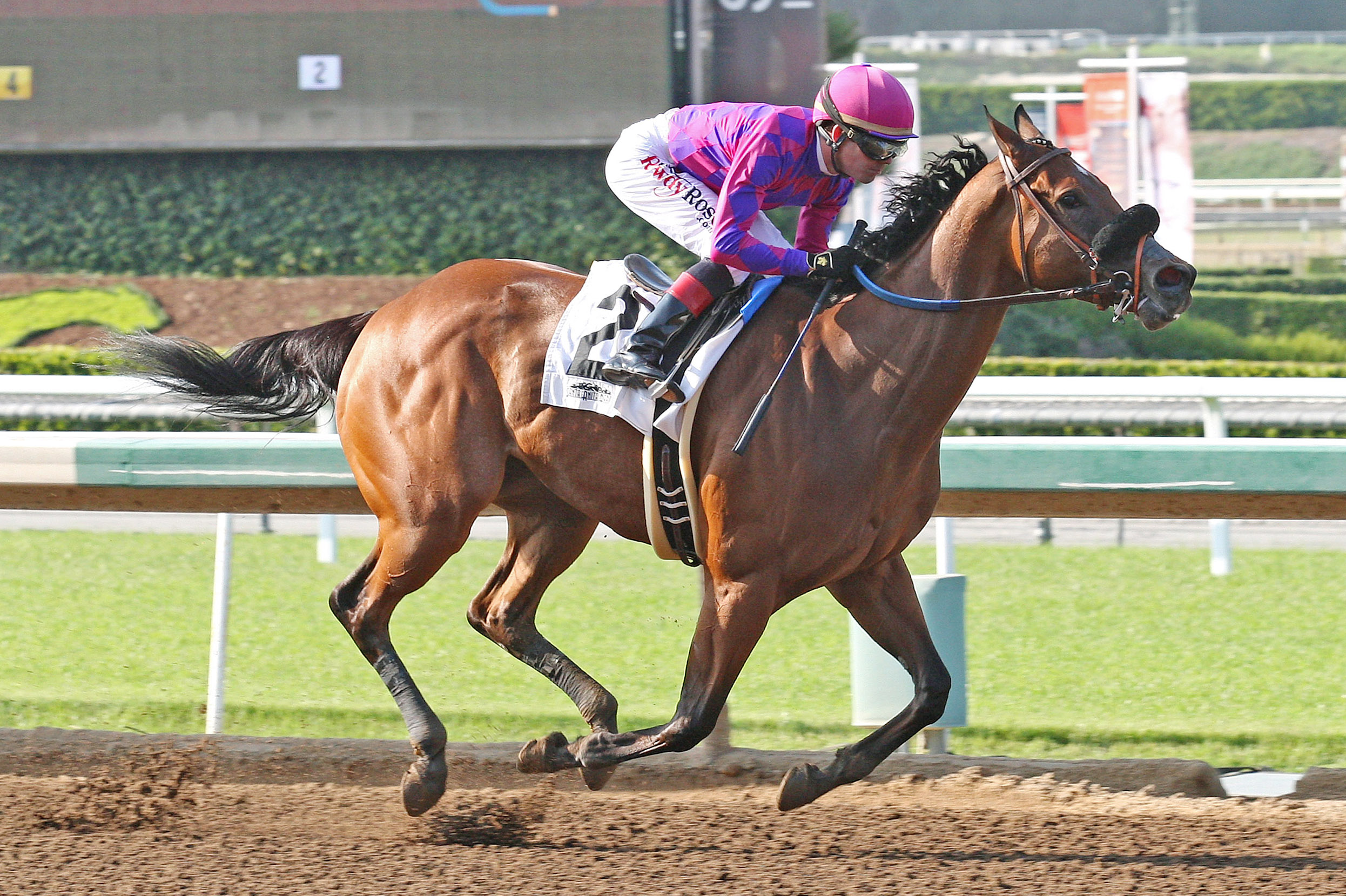 Sensitively wins a May 19 allowance optional claimer