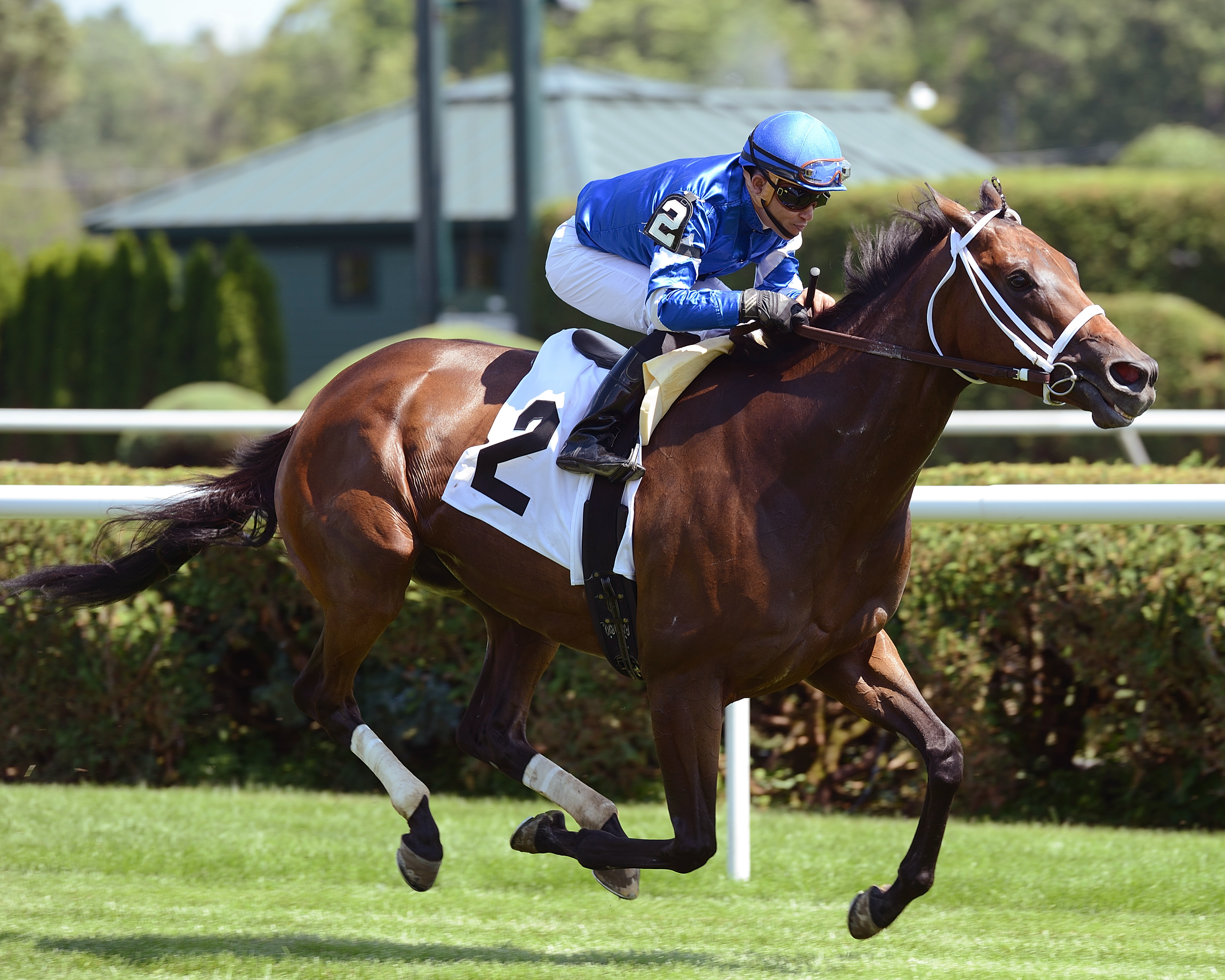 Sentiero Italia wins an allowance race on July 22
