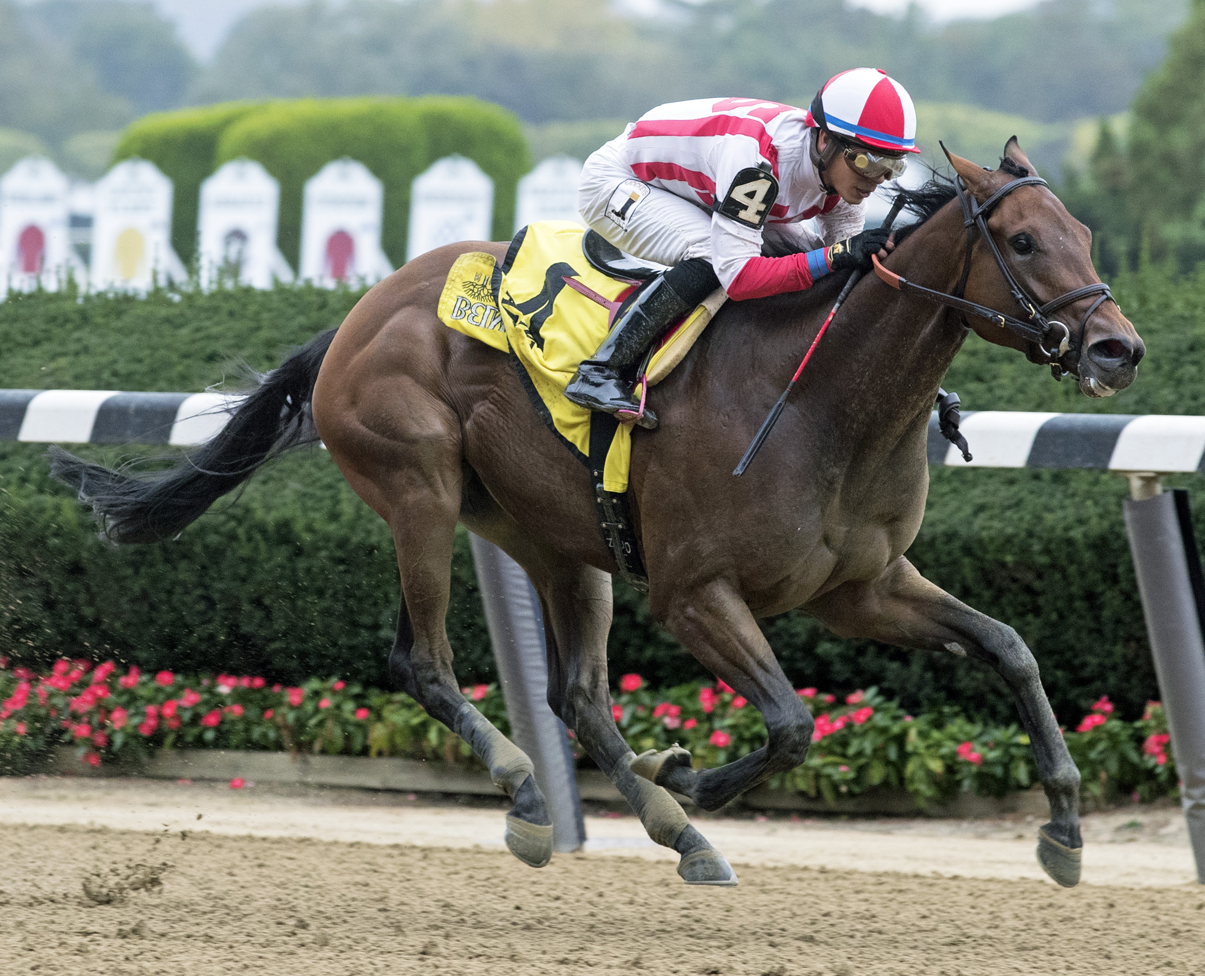 Separationofpowers wins the 2017 Frizette