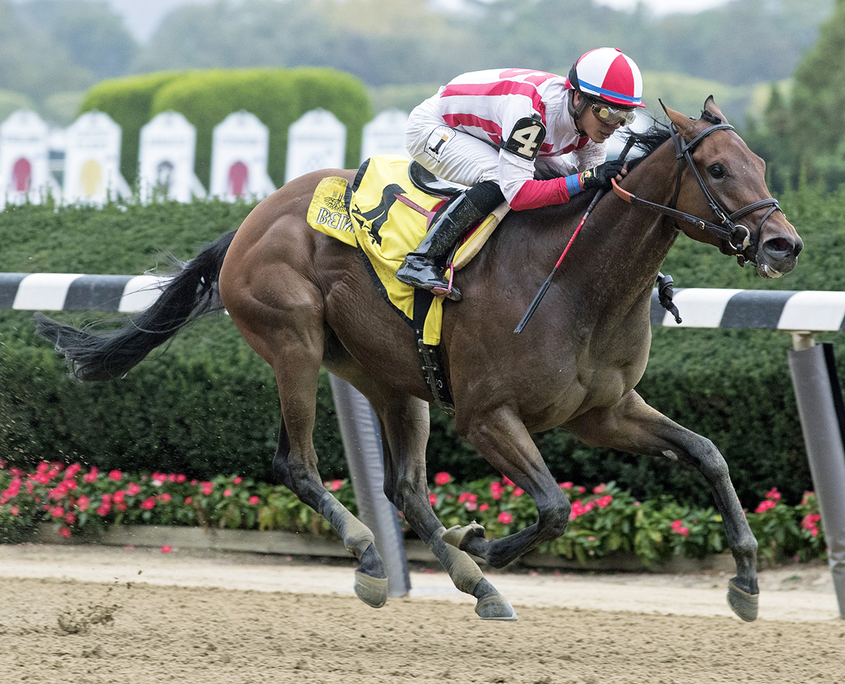 Separationofpowers wins the 2017 Frizette Stakes